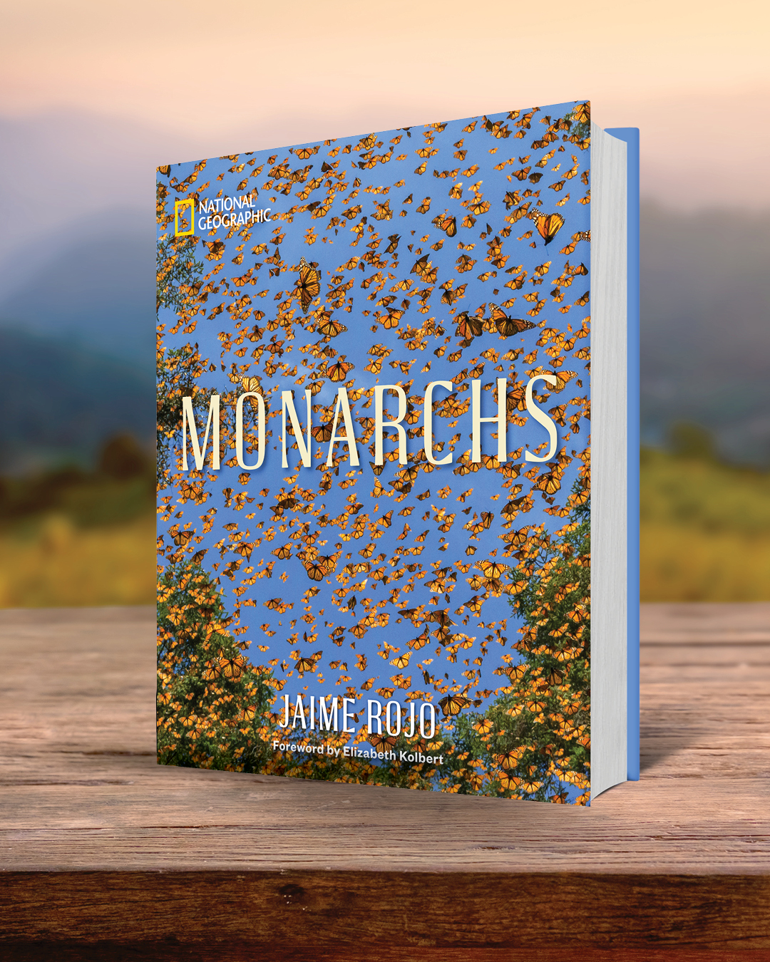 additional book photo