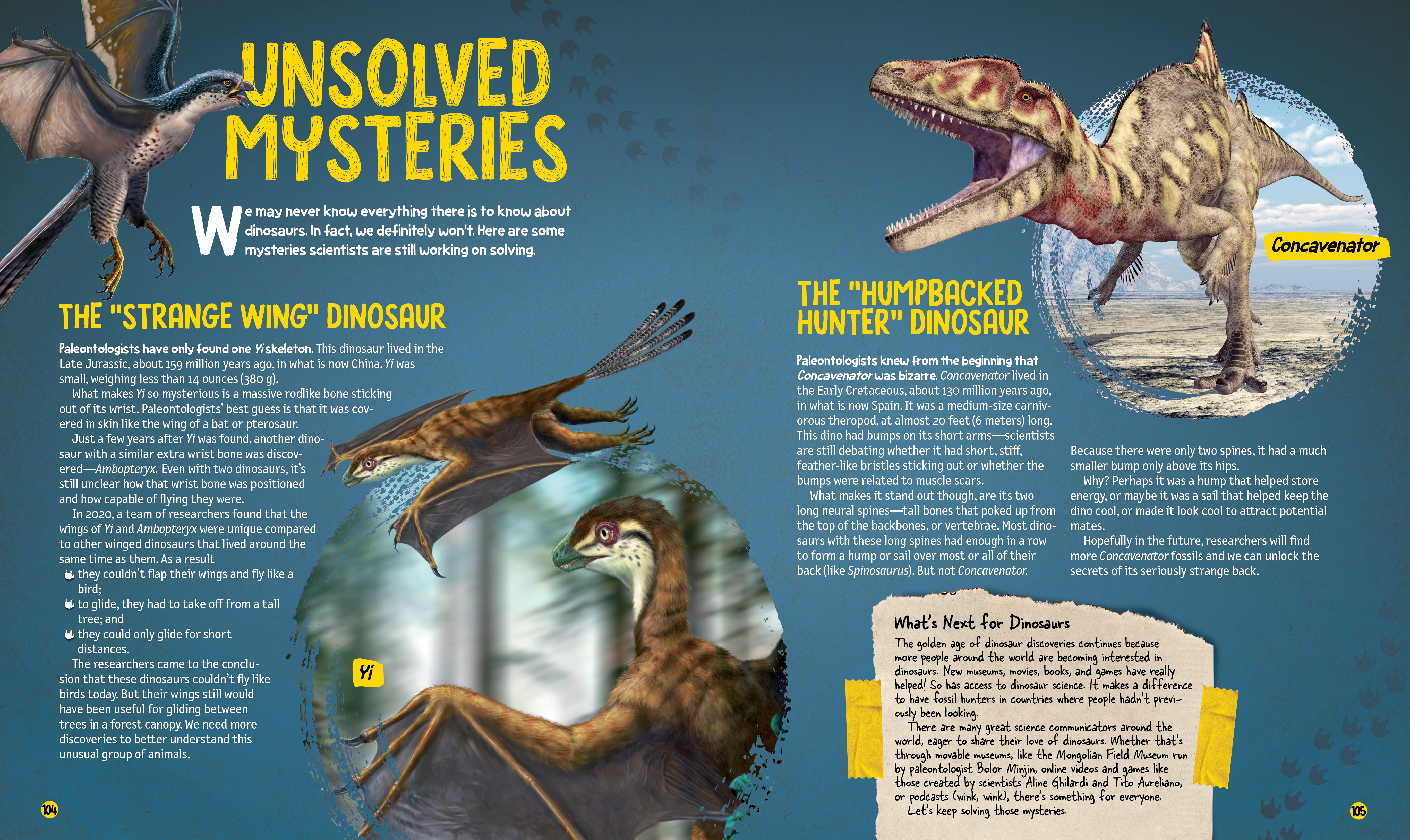 additional book photo