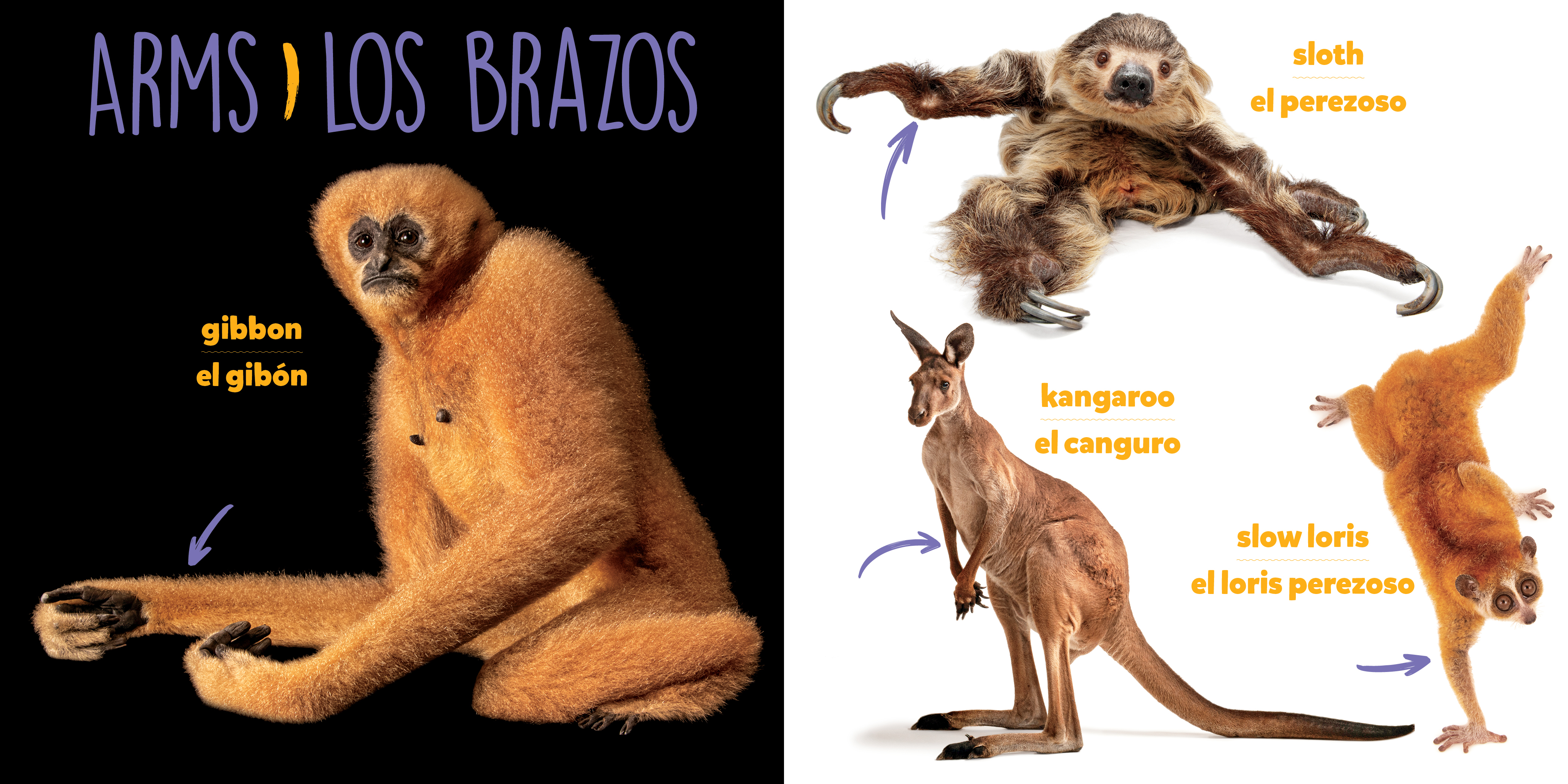 additional book photo