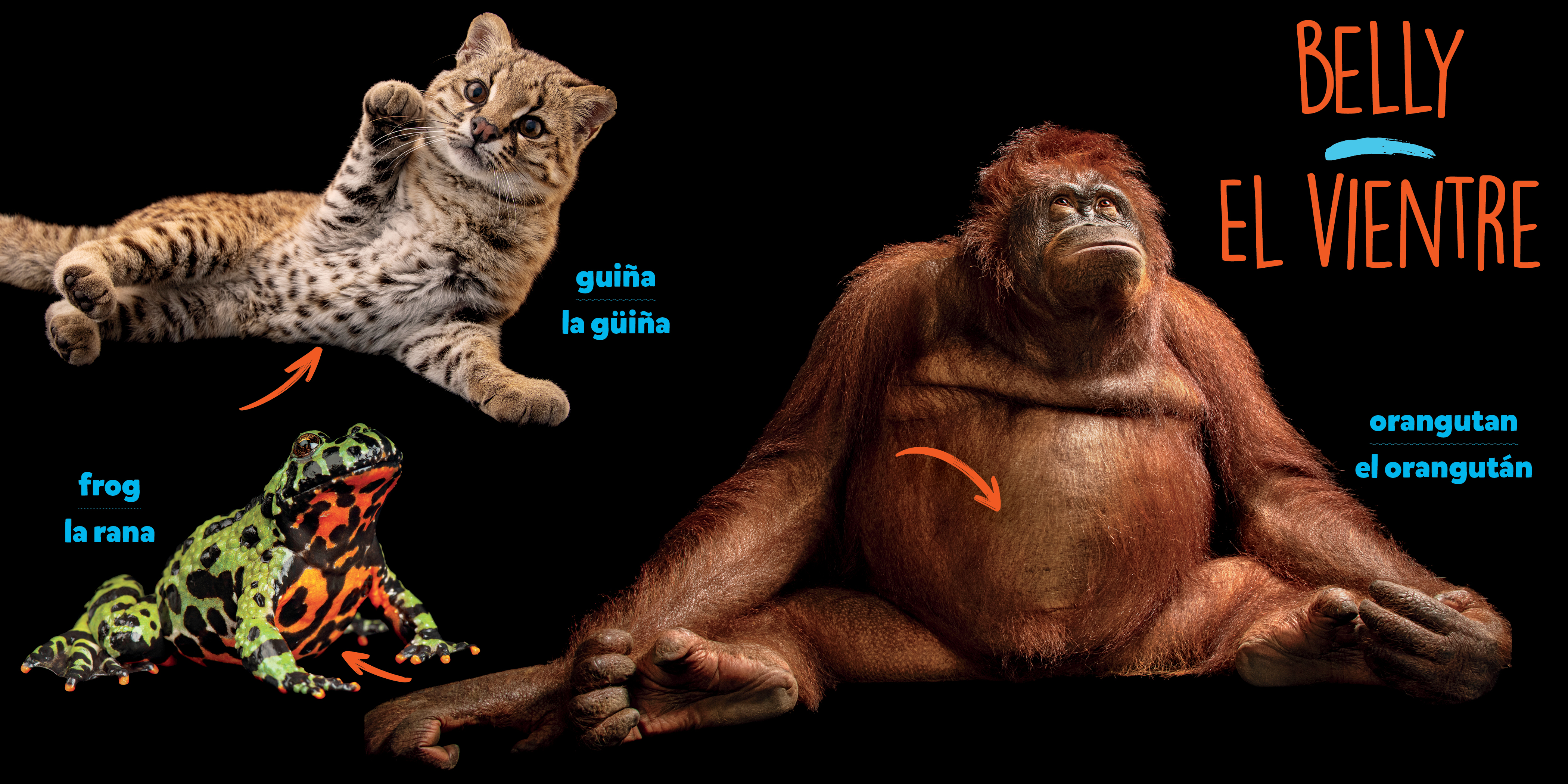 additional book photo