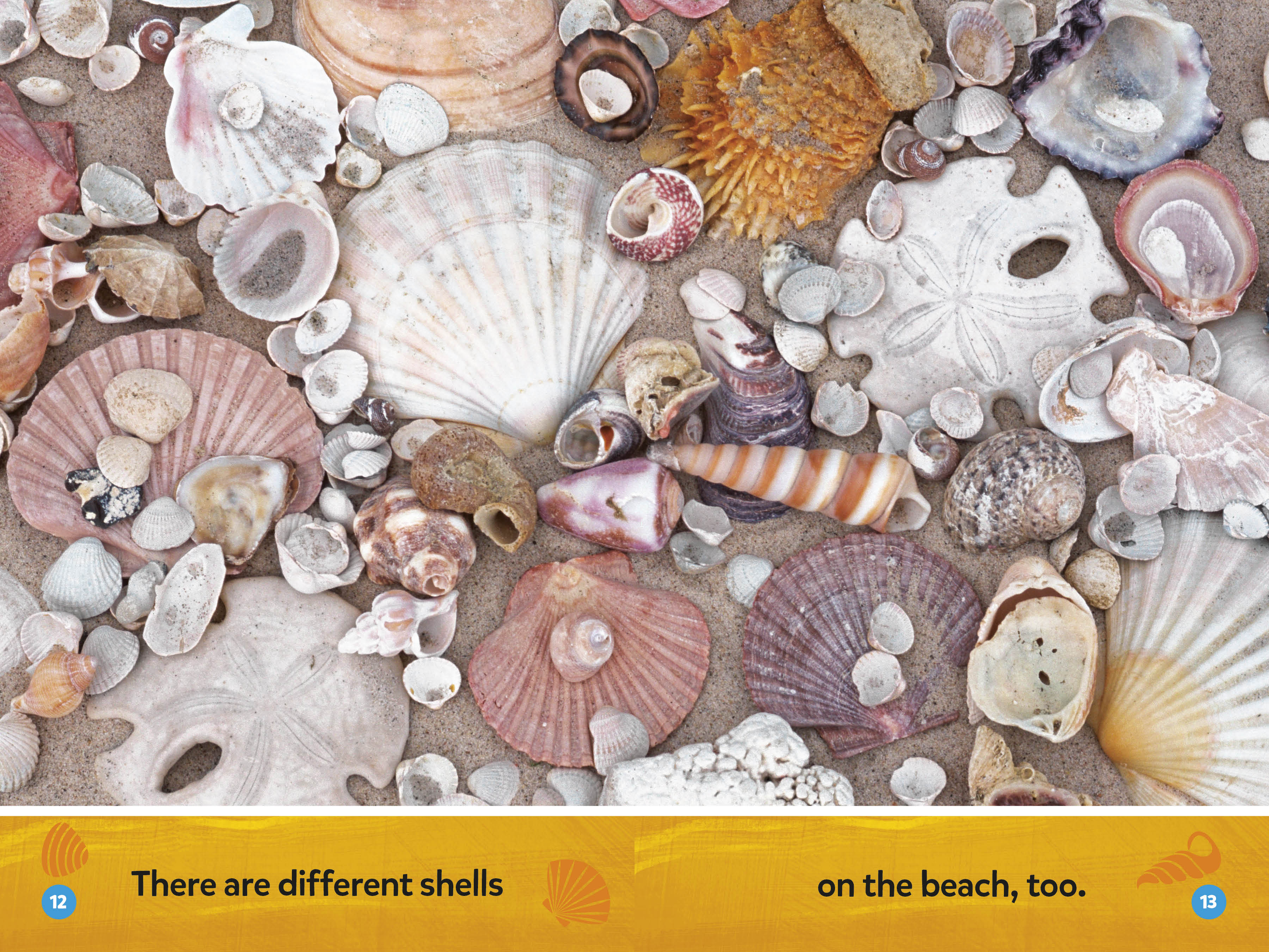 additional book photo