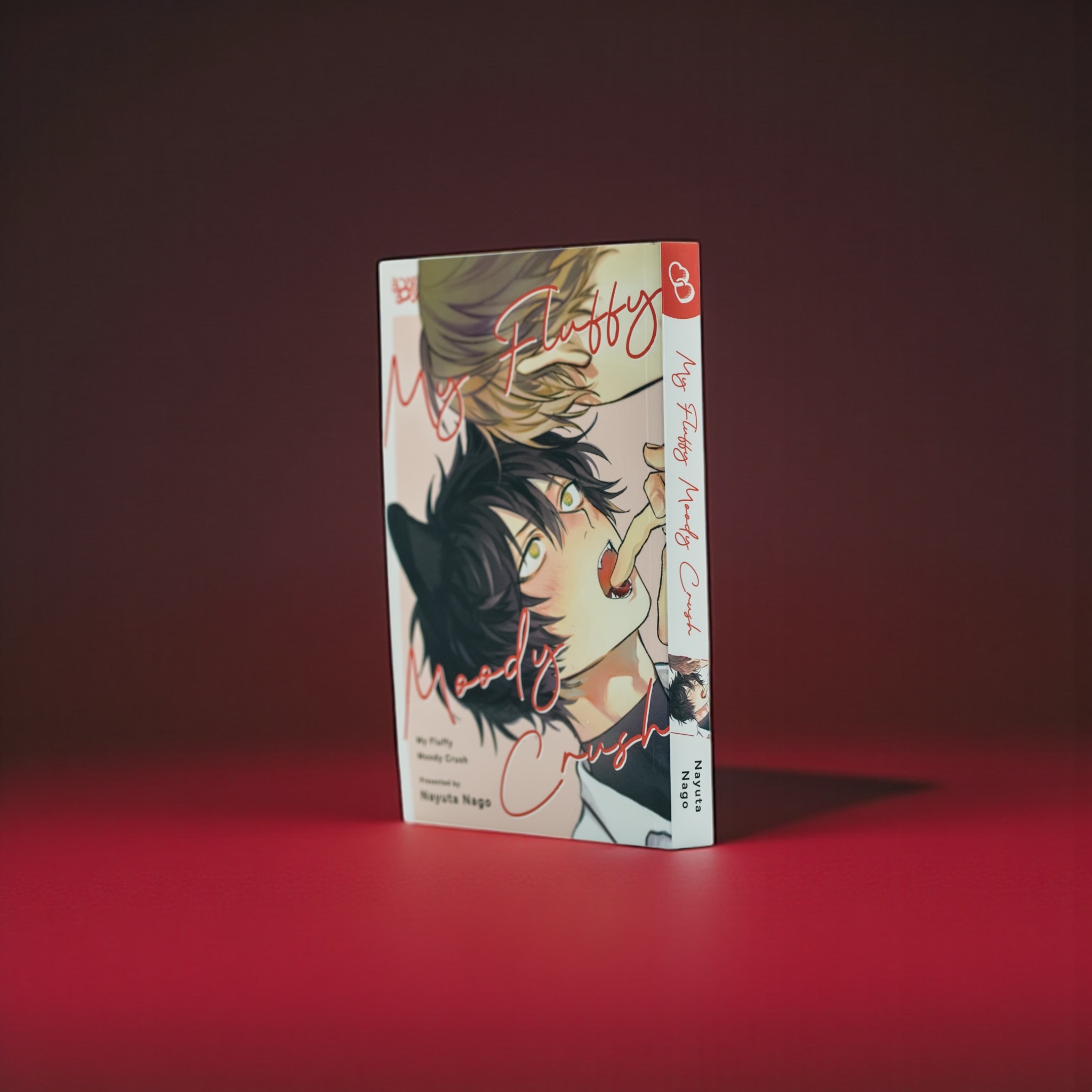 additional book photo