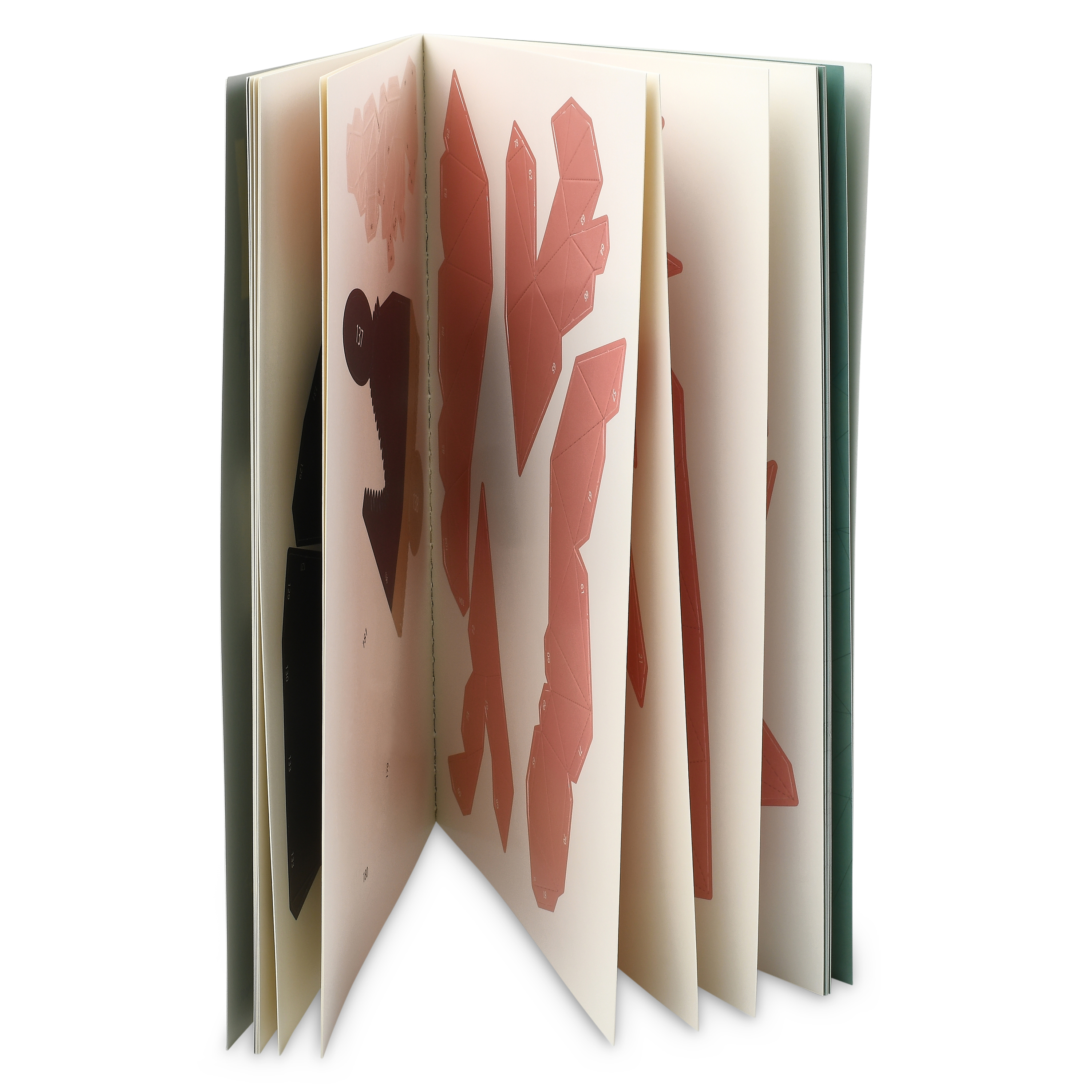 additional book photo