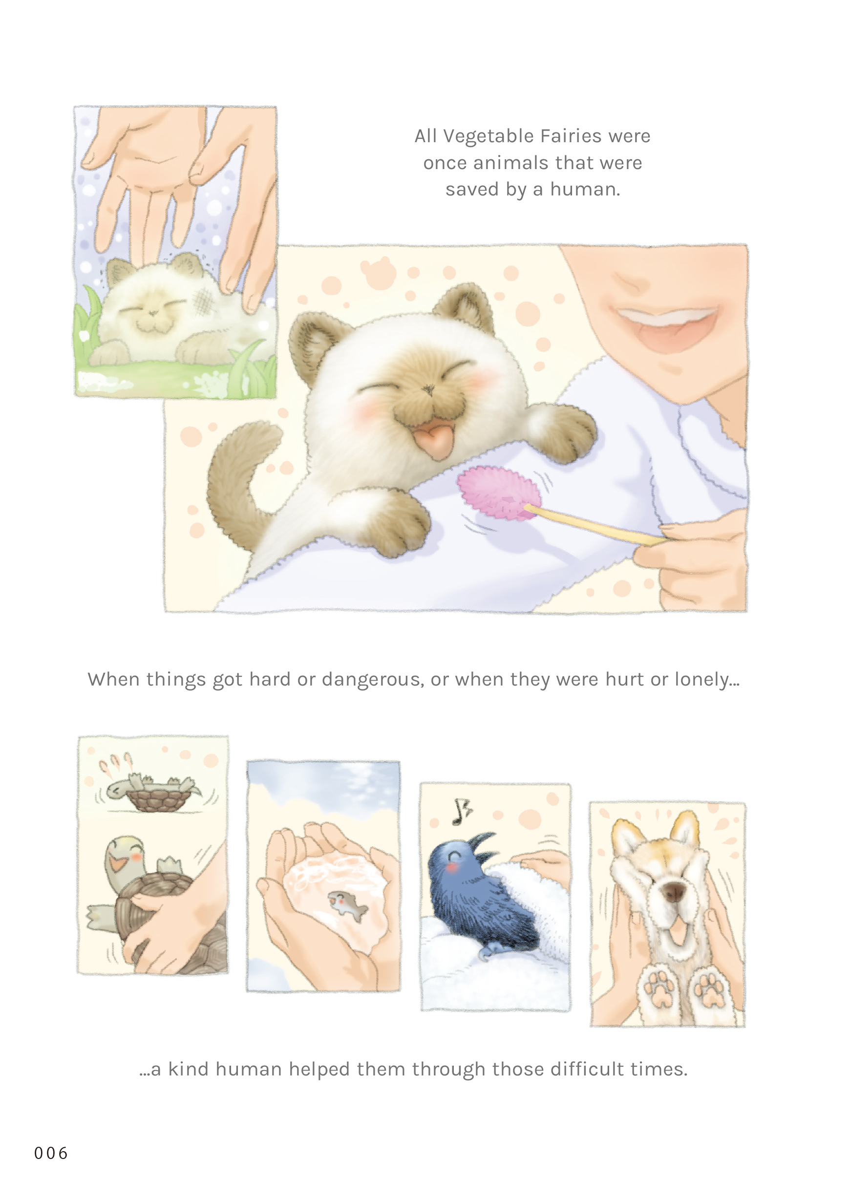 additional book photo