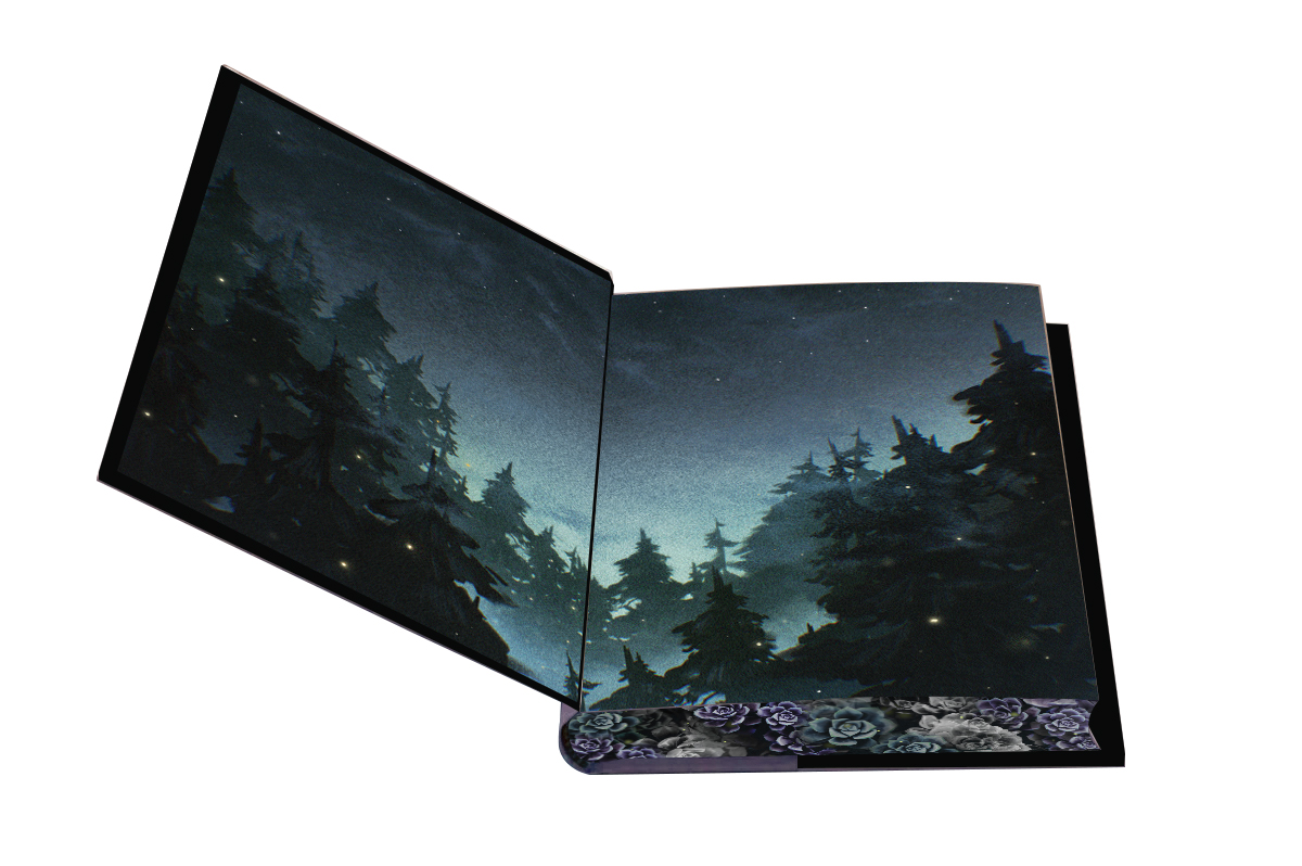 additional book photo