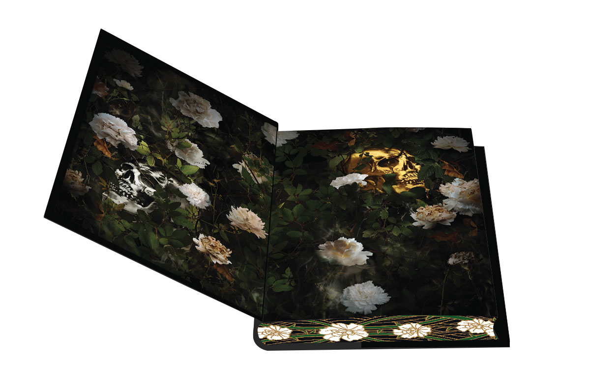 endpapers-held for reveal