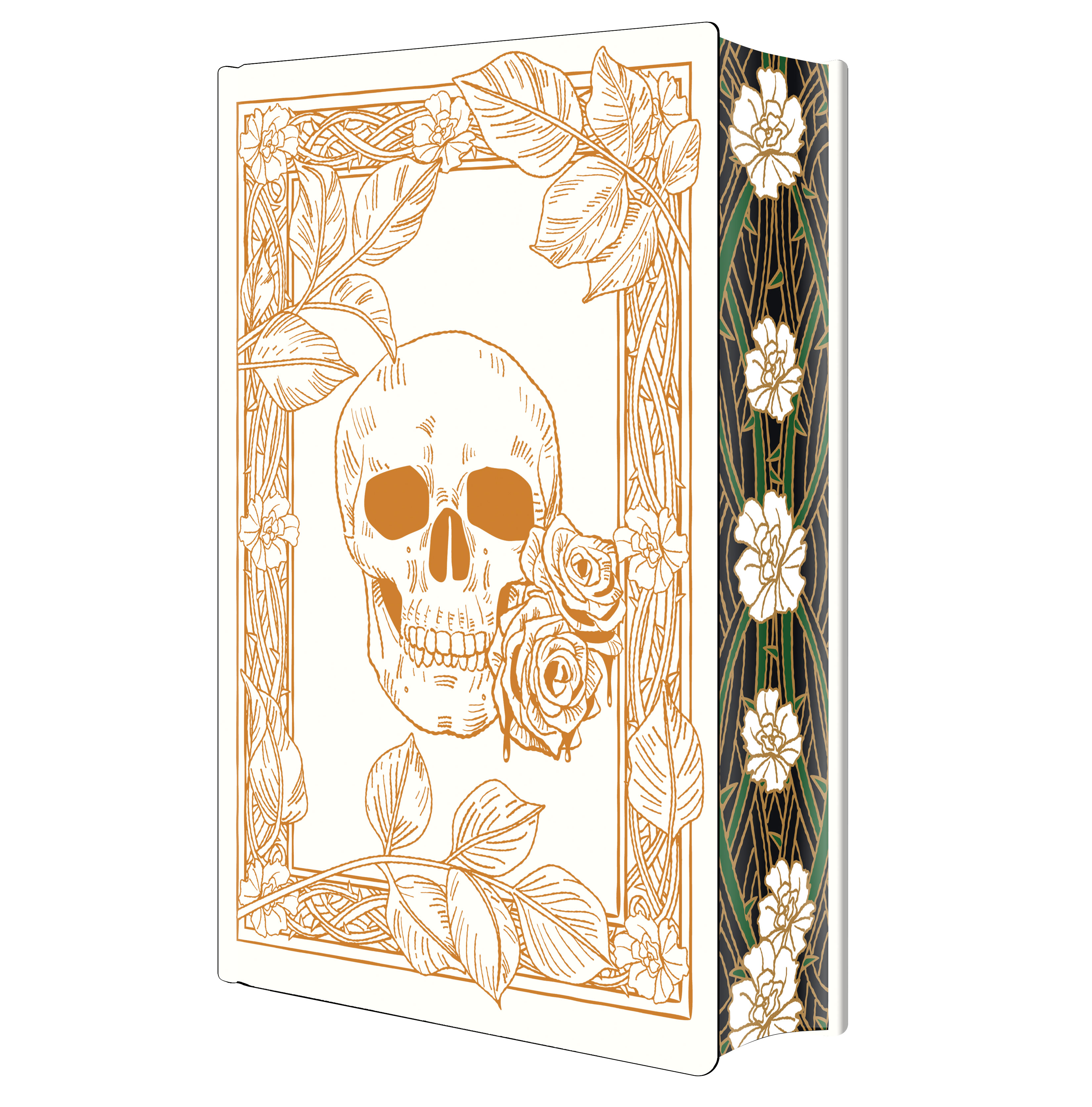 Rain of Shadows and Endings case