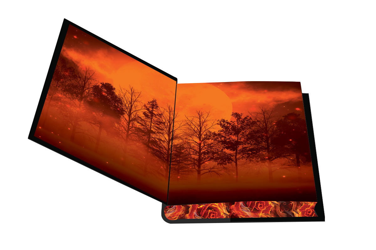 3D mockup HC DLE ENDPAPERS