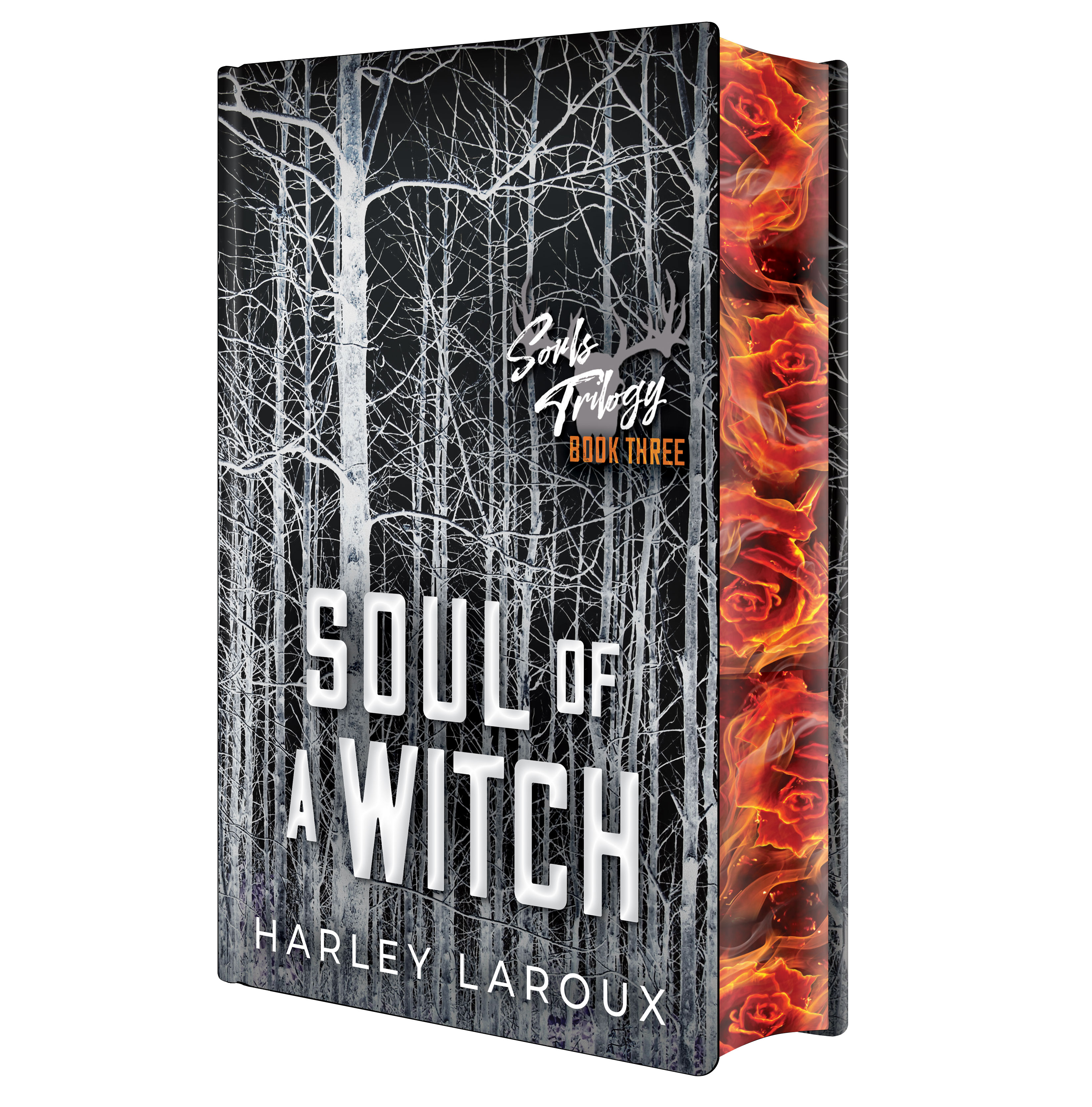 3D mockup HC DLE REVERSE JACKET