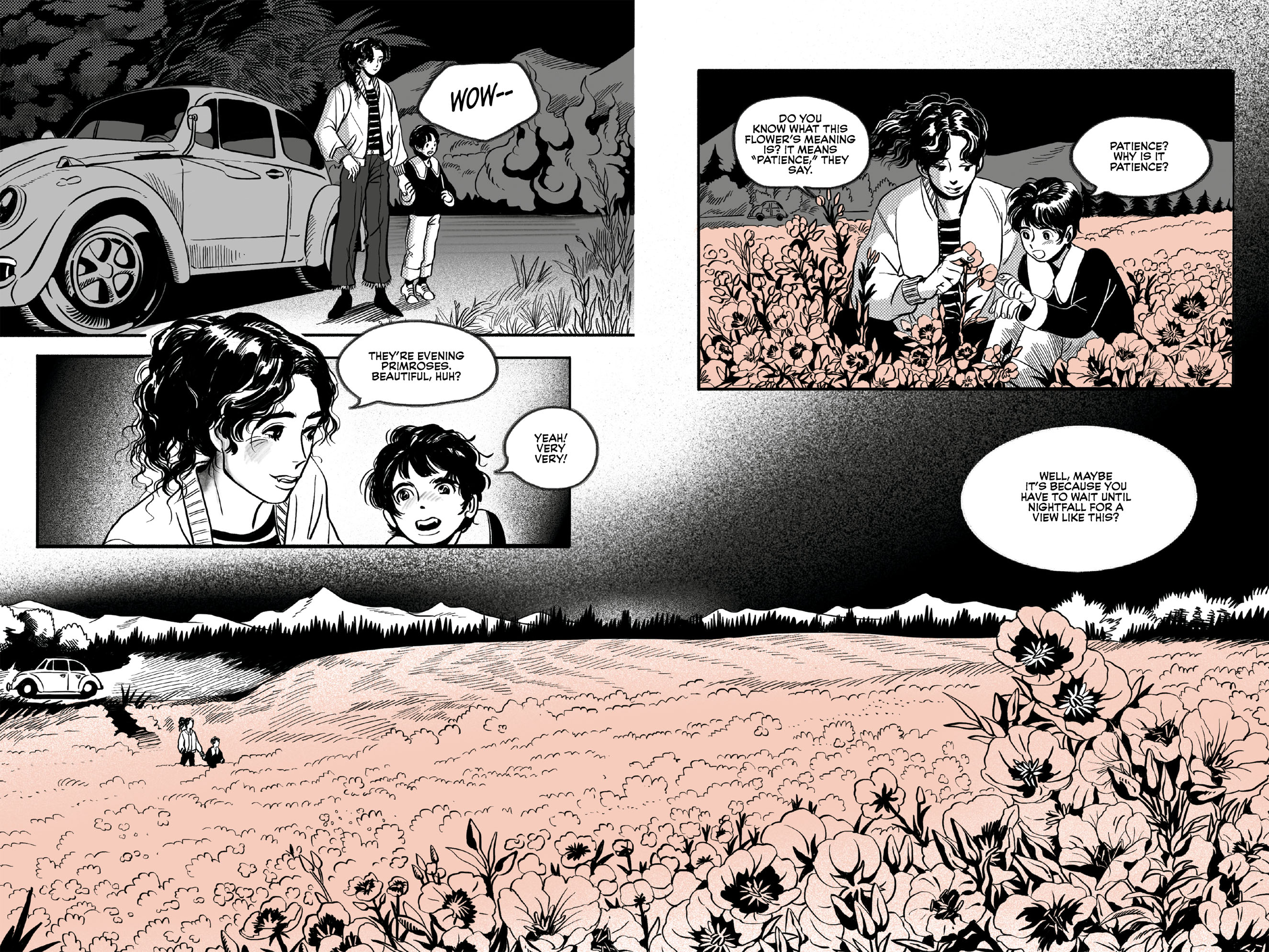 additional book photo