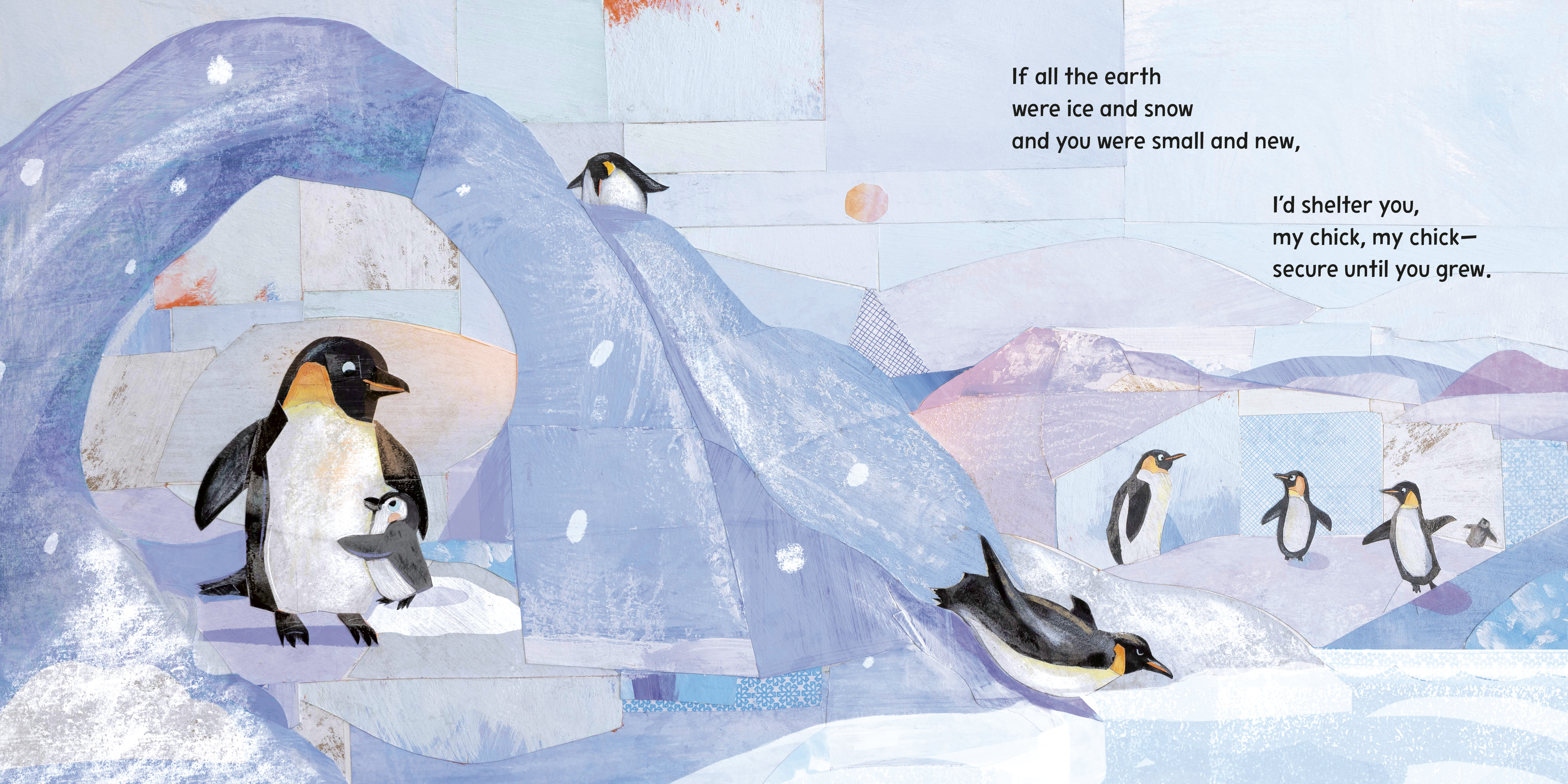 additional book photo