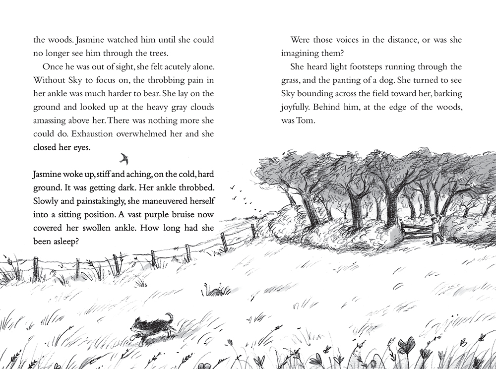 additional book photo