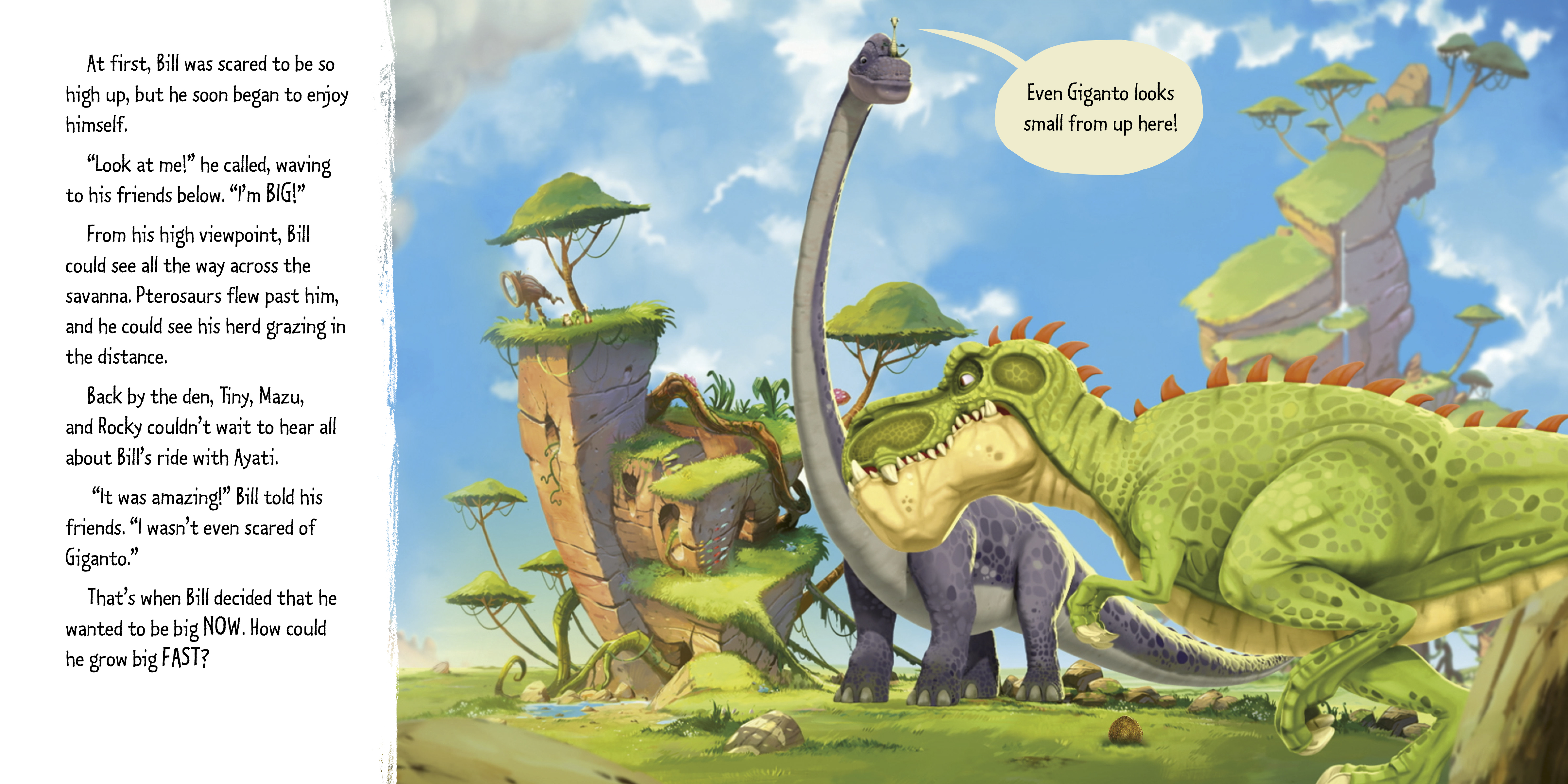 additional book photo