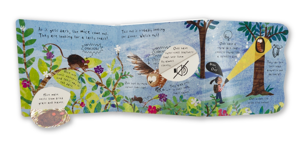 additional book photo