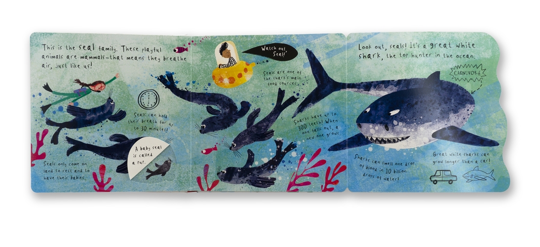 additional book photo