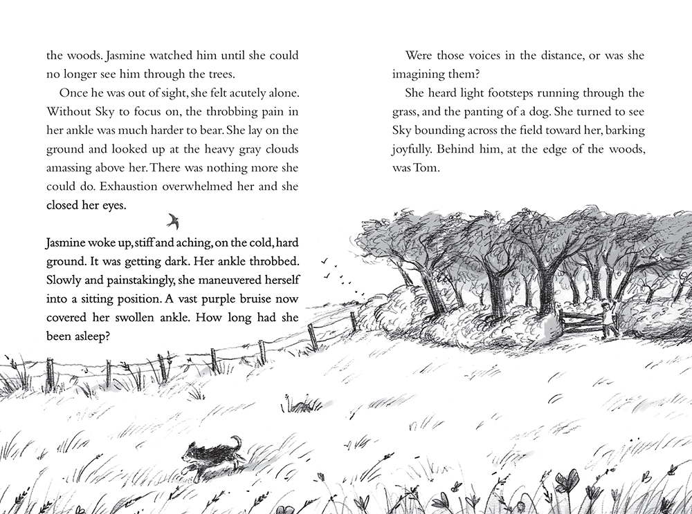 additional book photo
