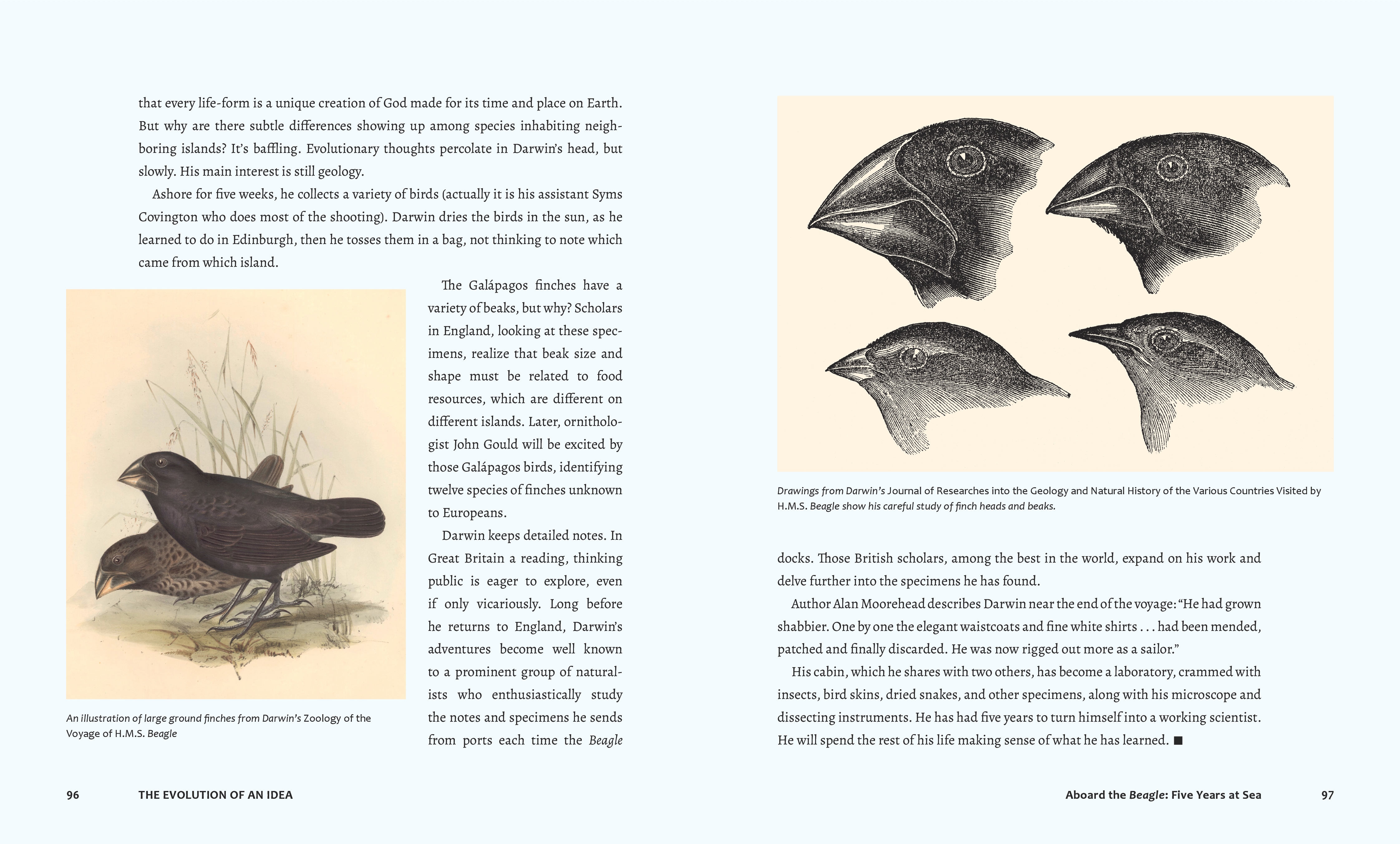 additional book photo