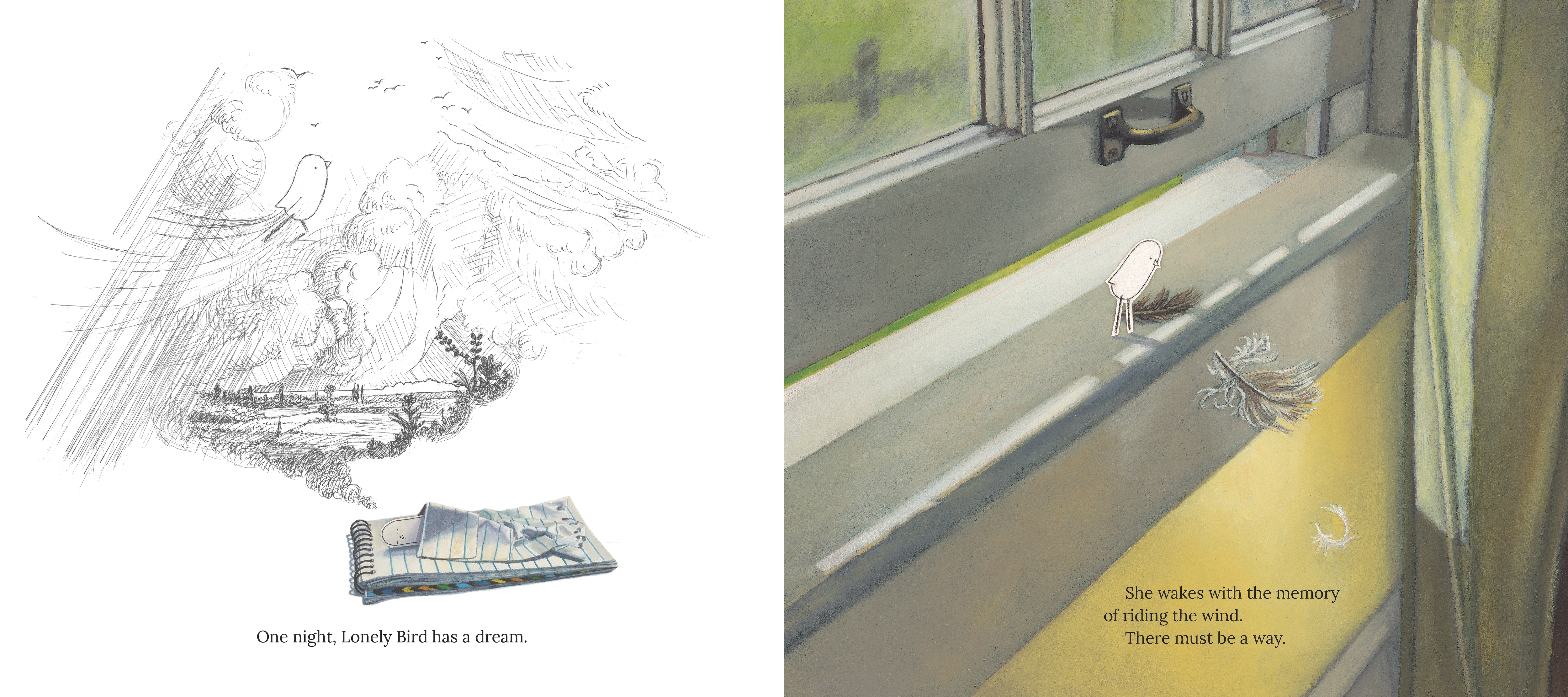 additional book photo