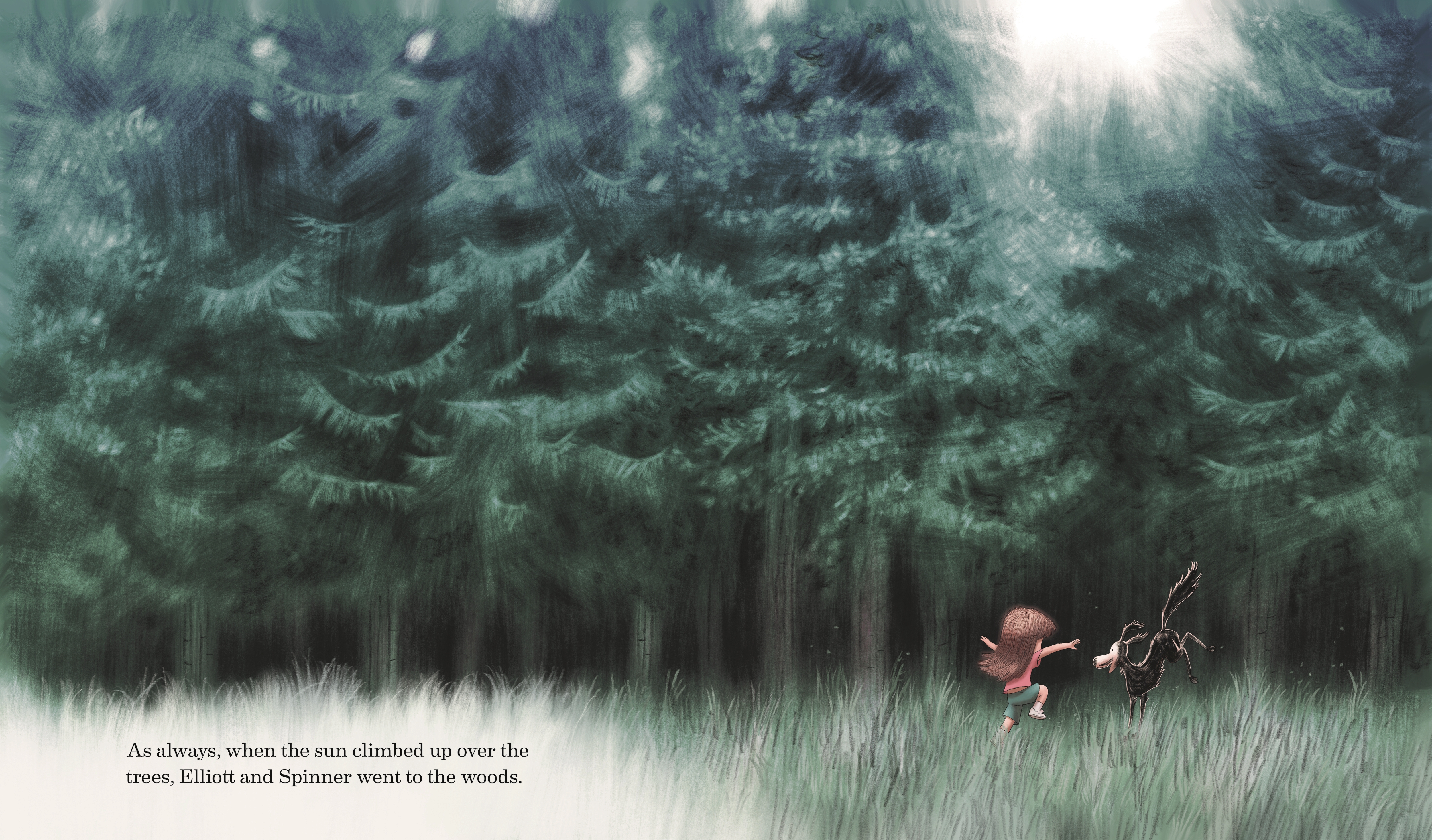 additional book photo