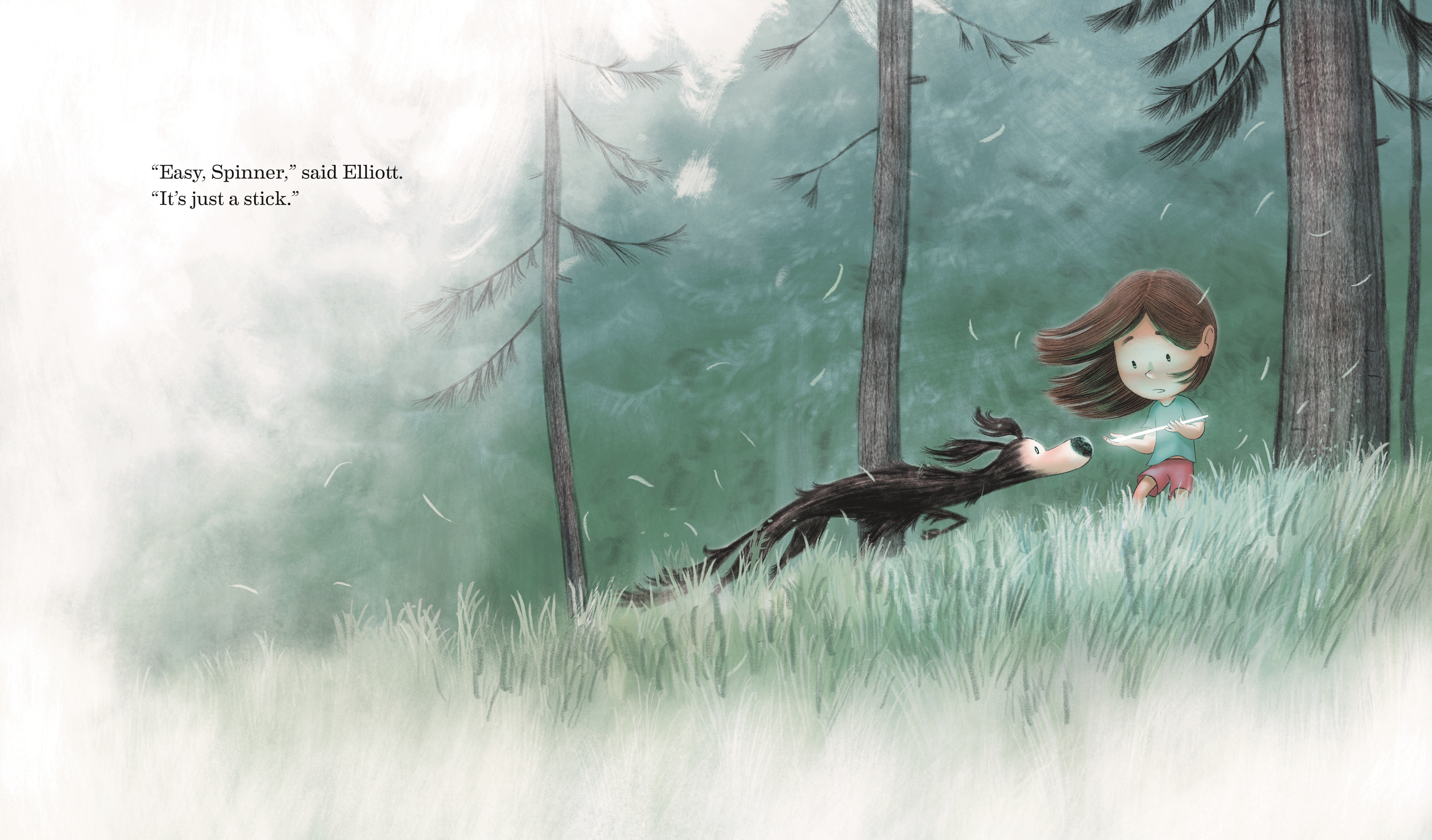 additional book photo