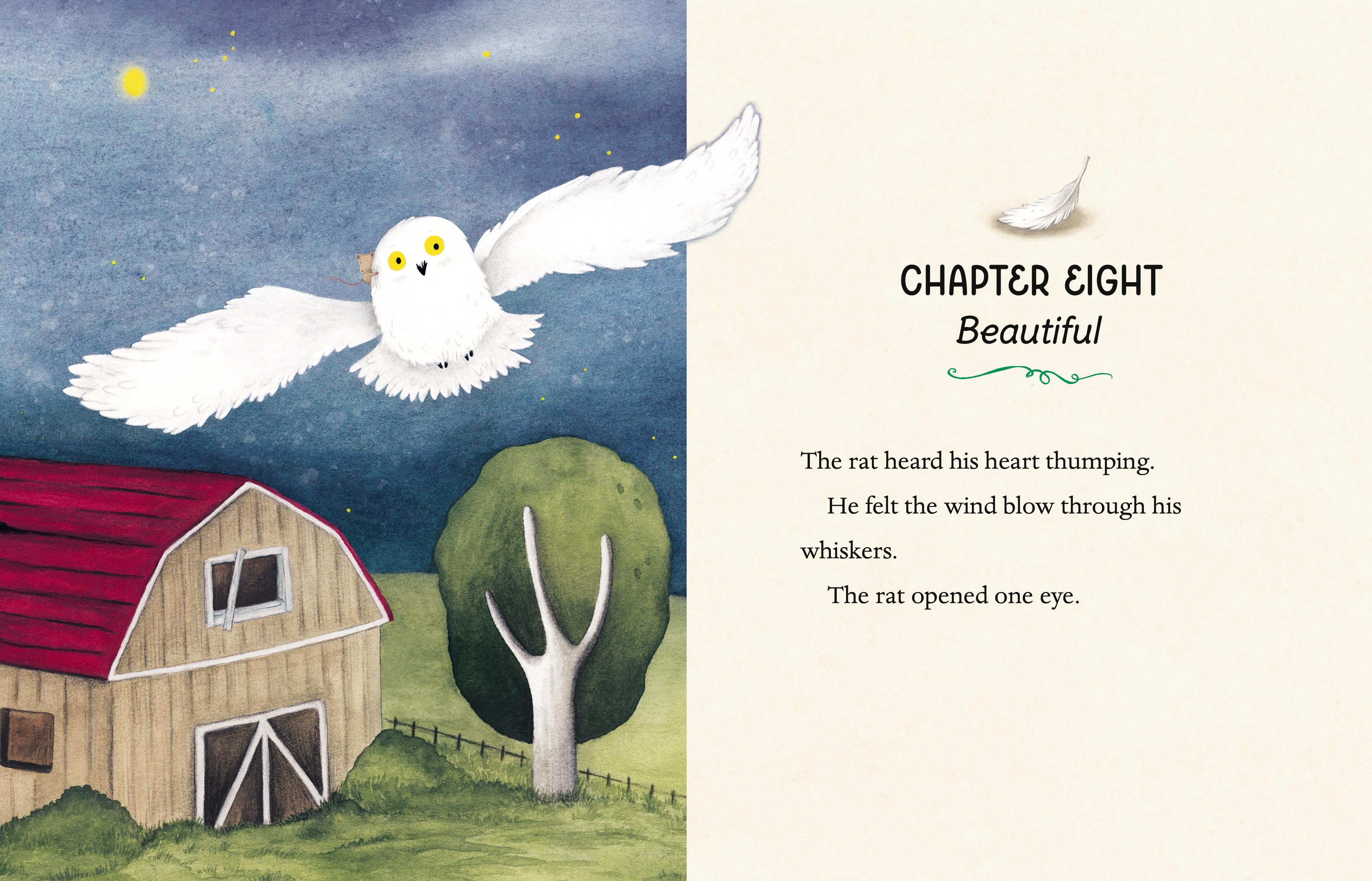 additional book photo