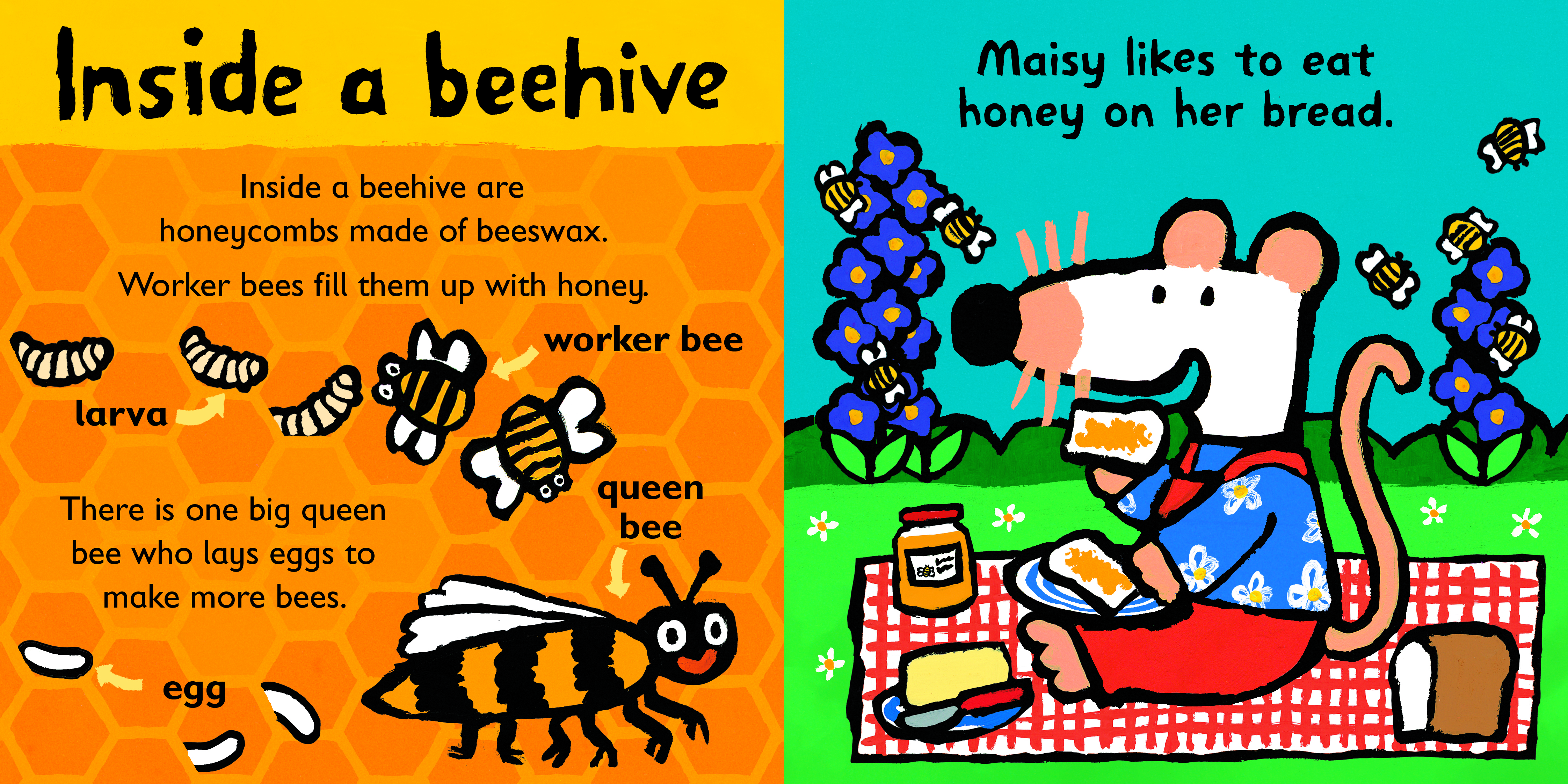 additional book photo