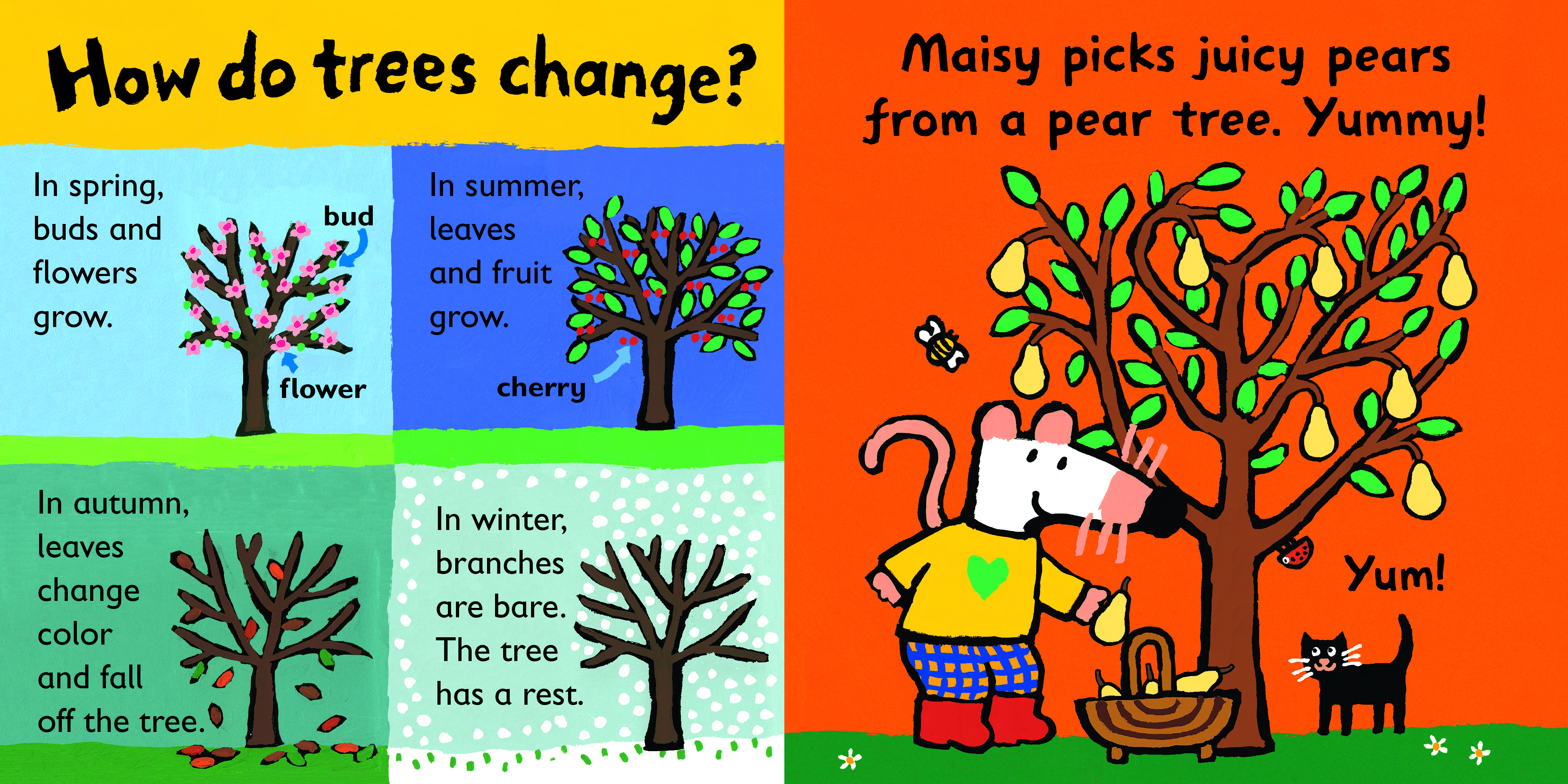 additional book photo