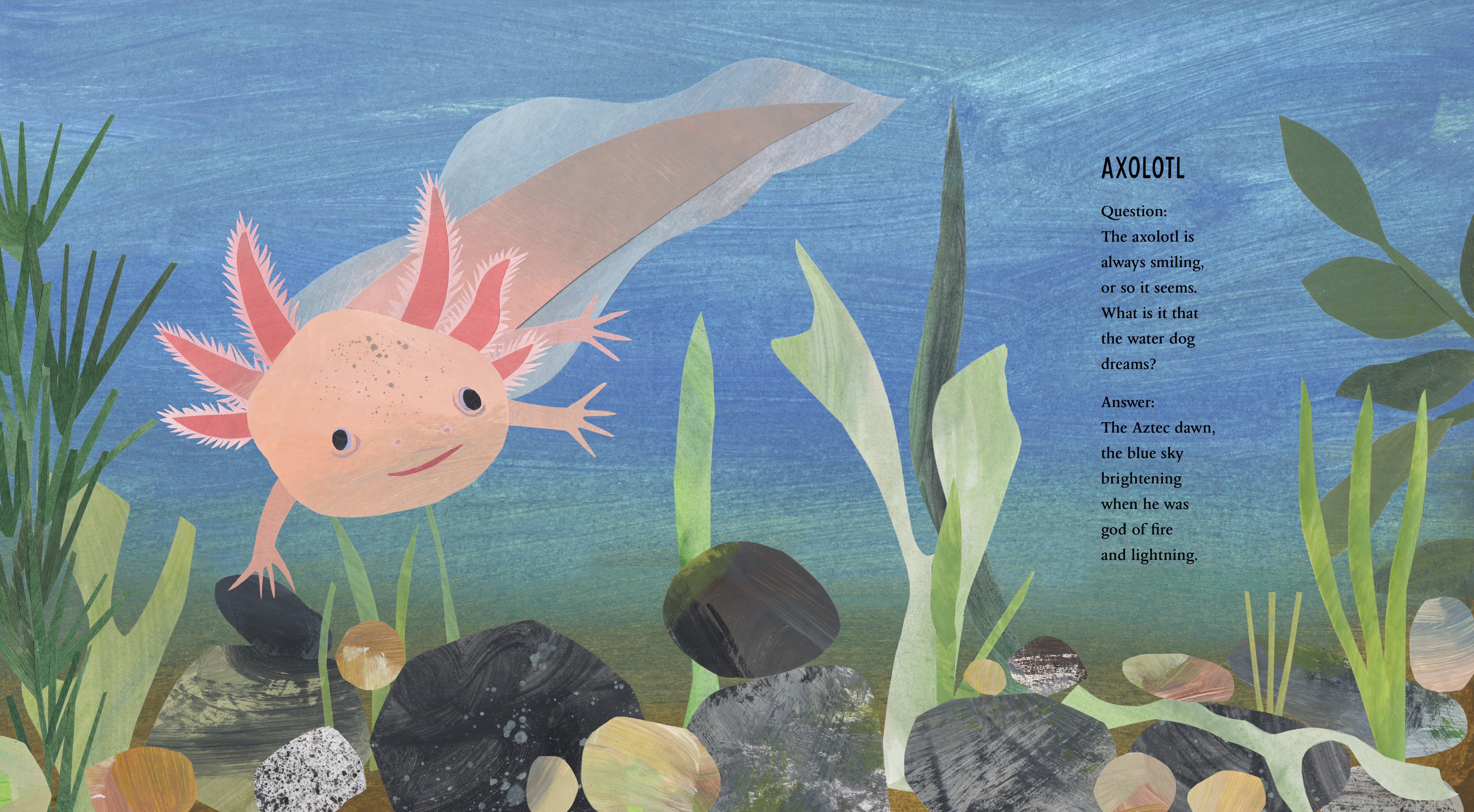 additional book photo