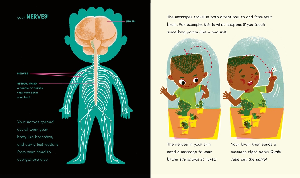 additional book photo