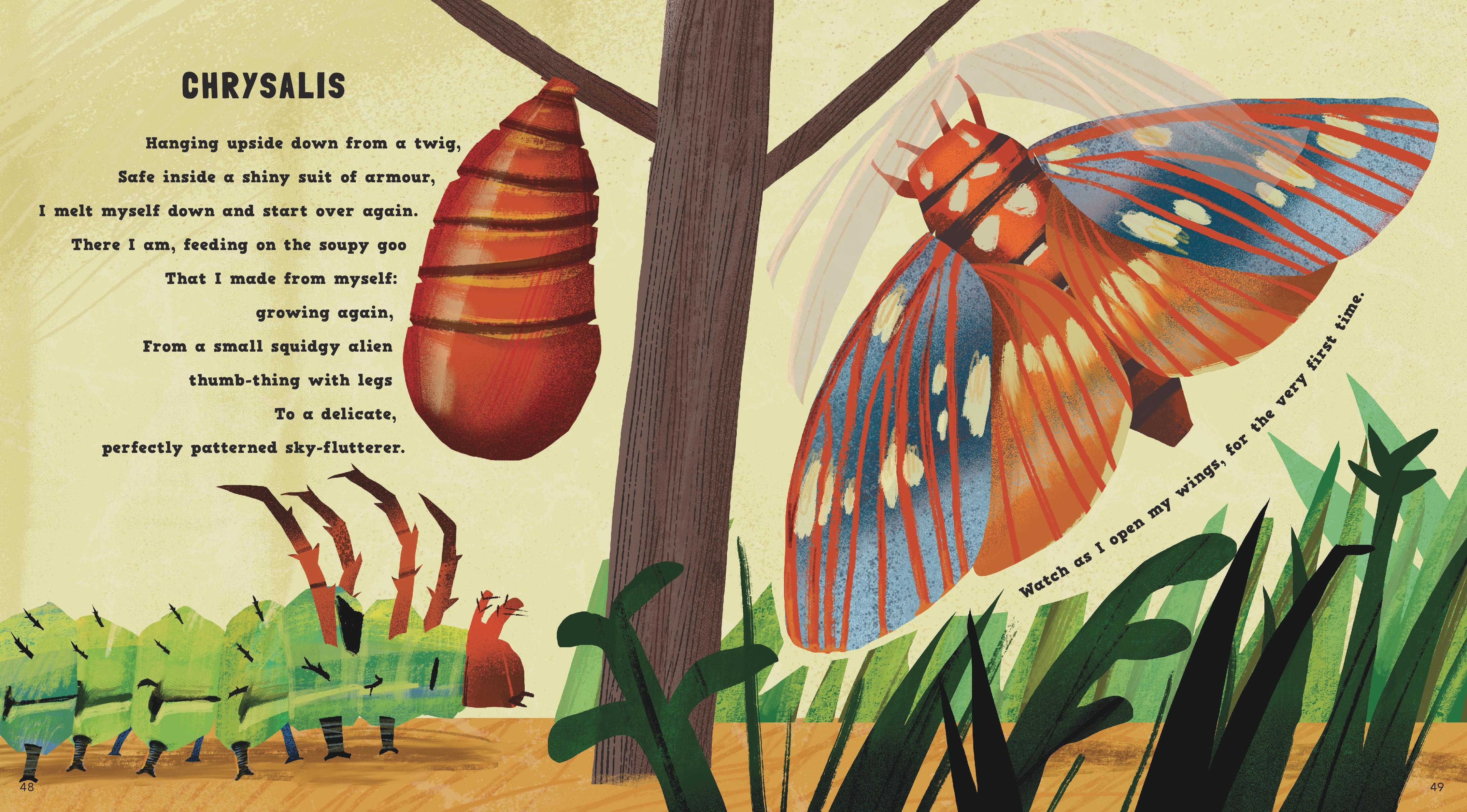 additional book photo
