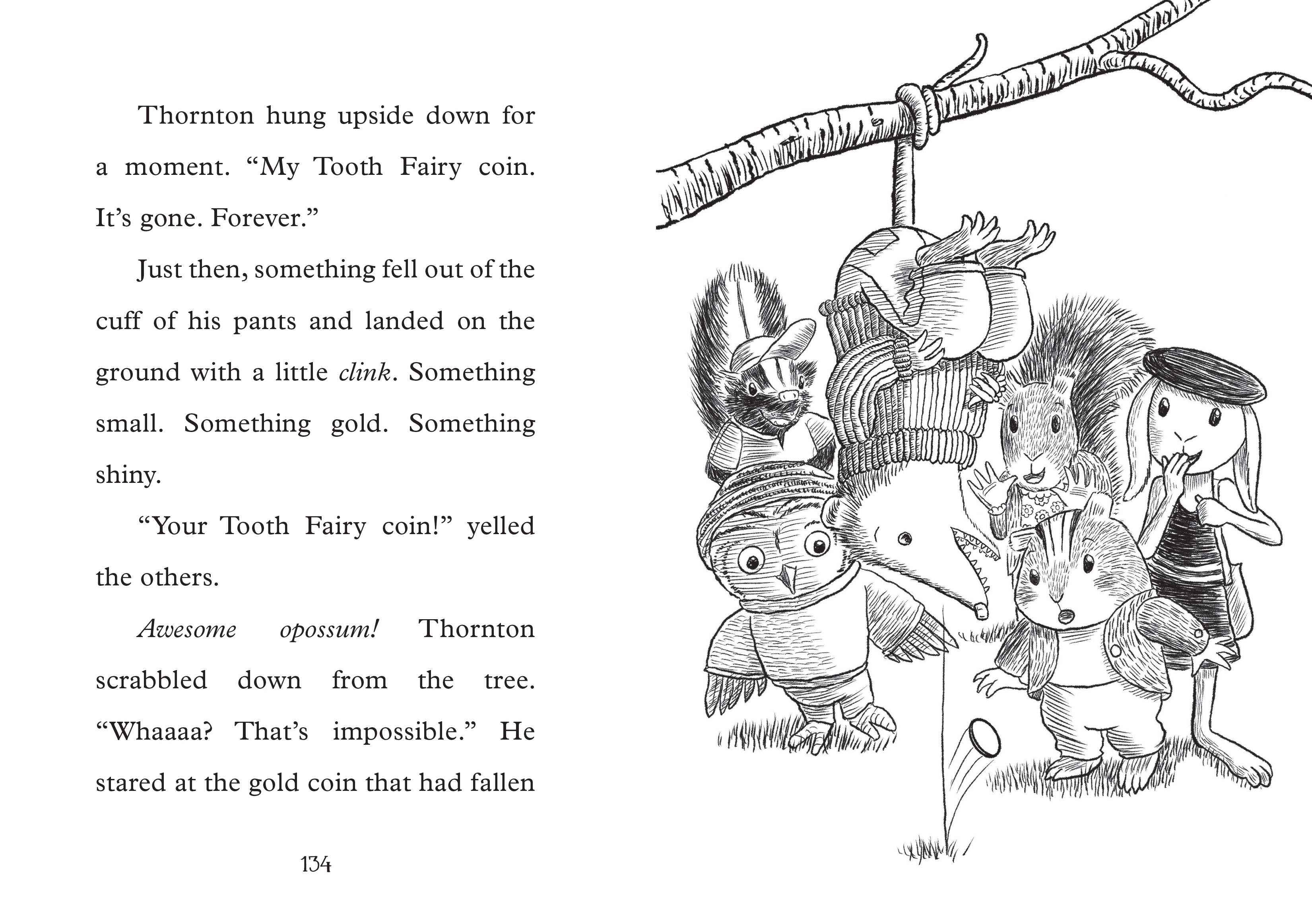 additional book photo