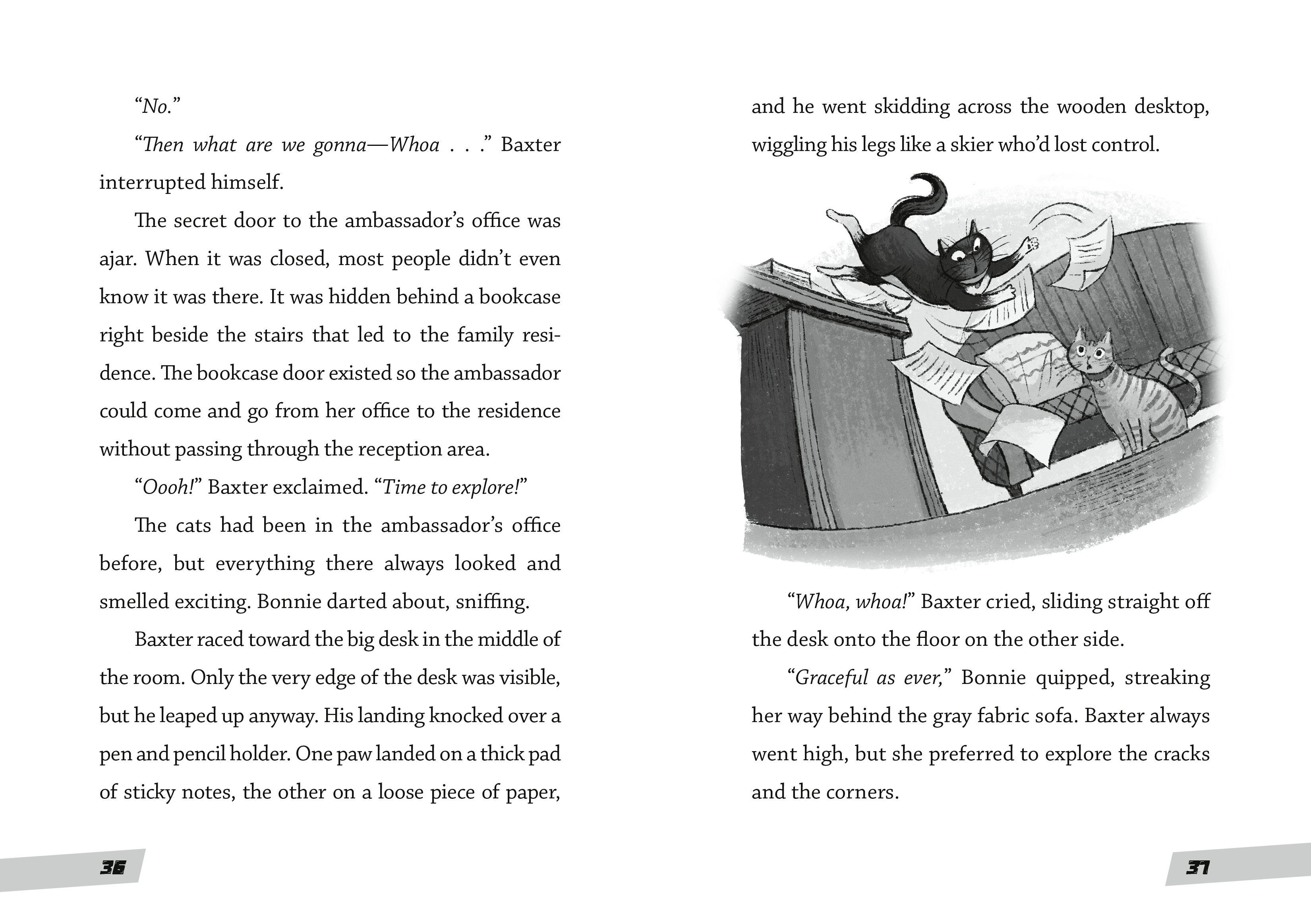 additional book photo