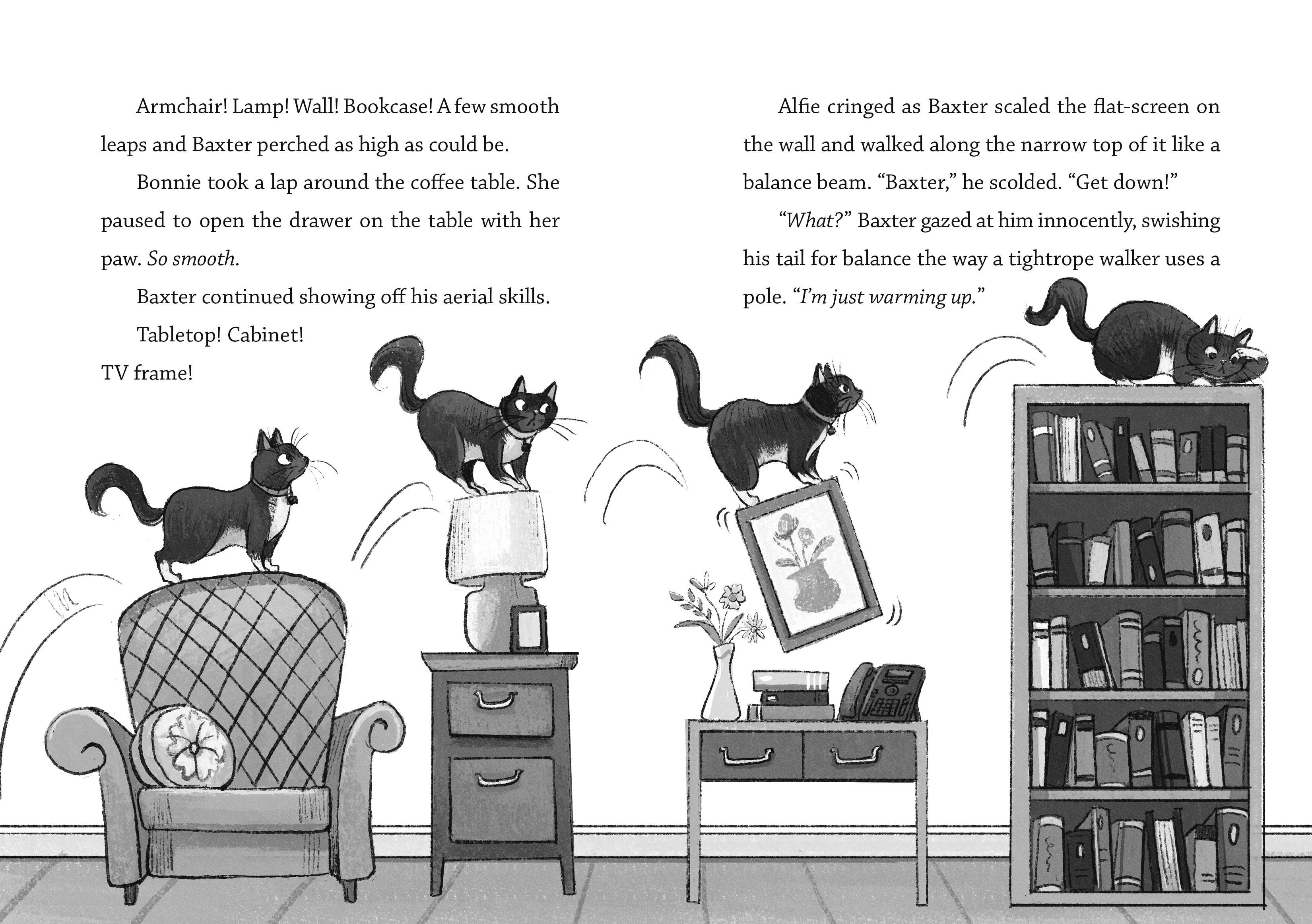 additional book photo