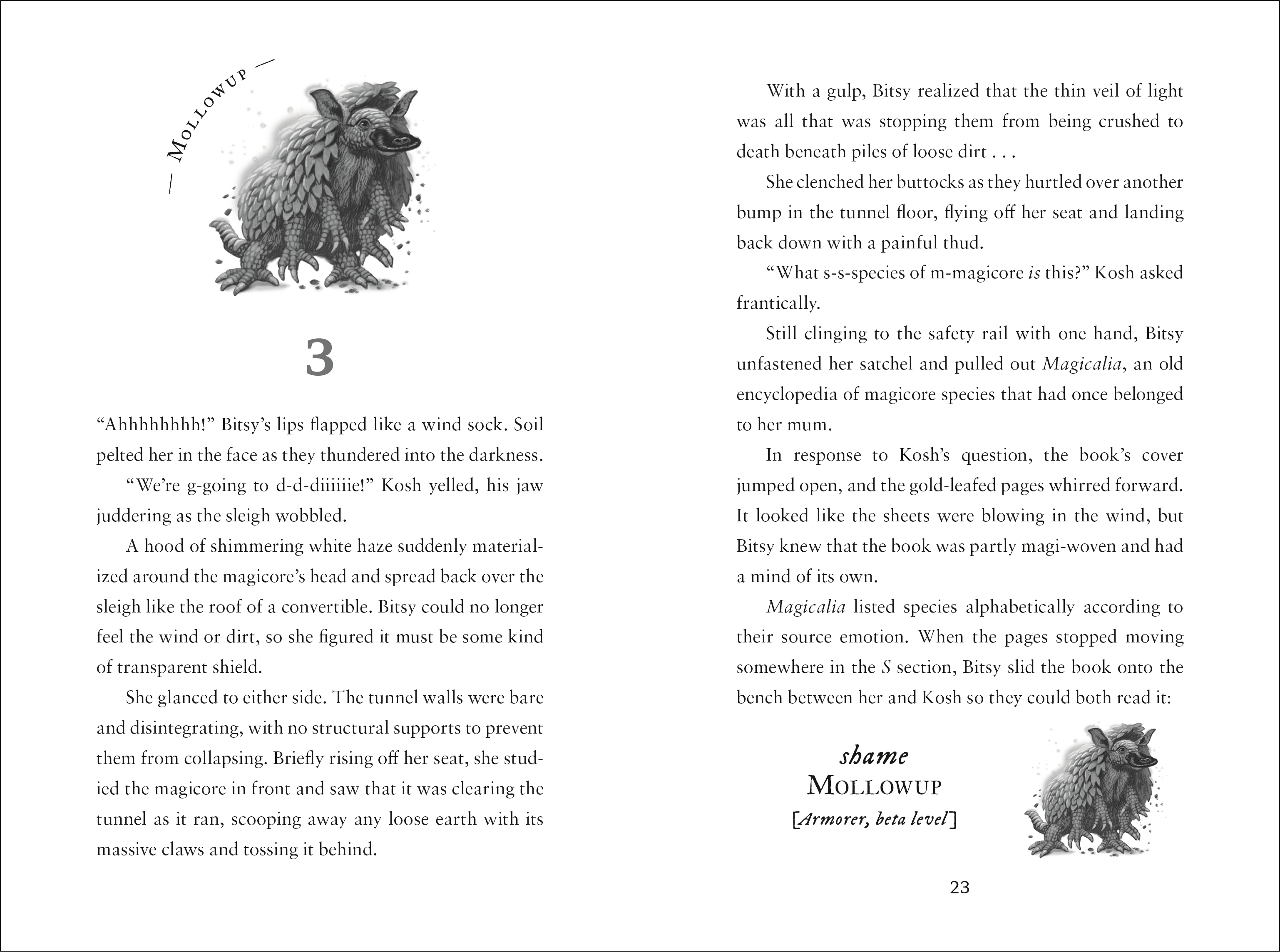 additional book photo