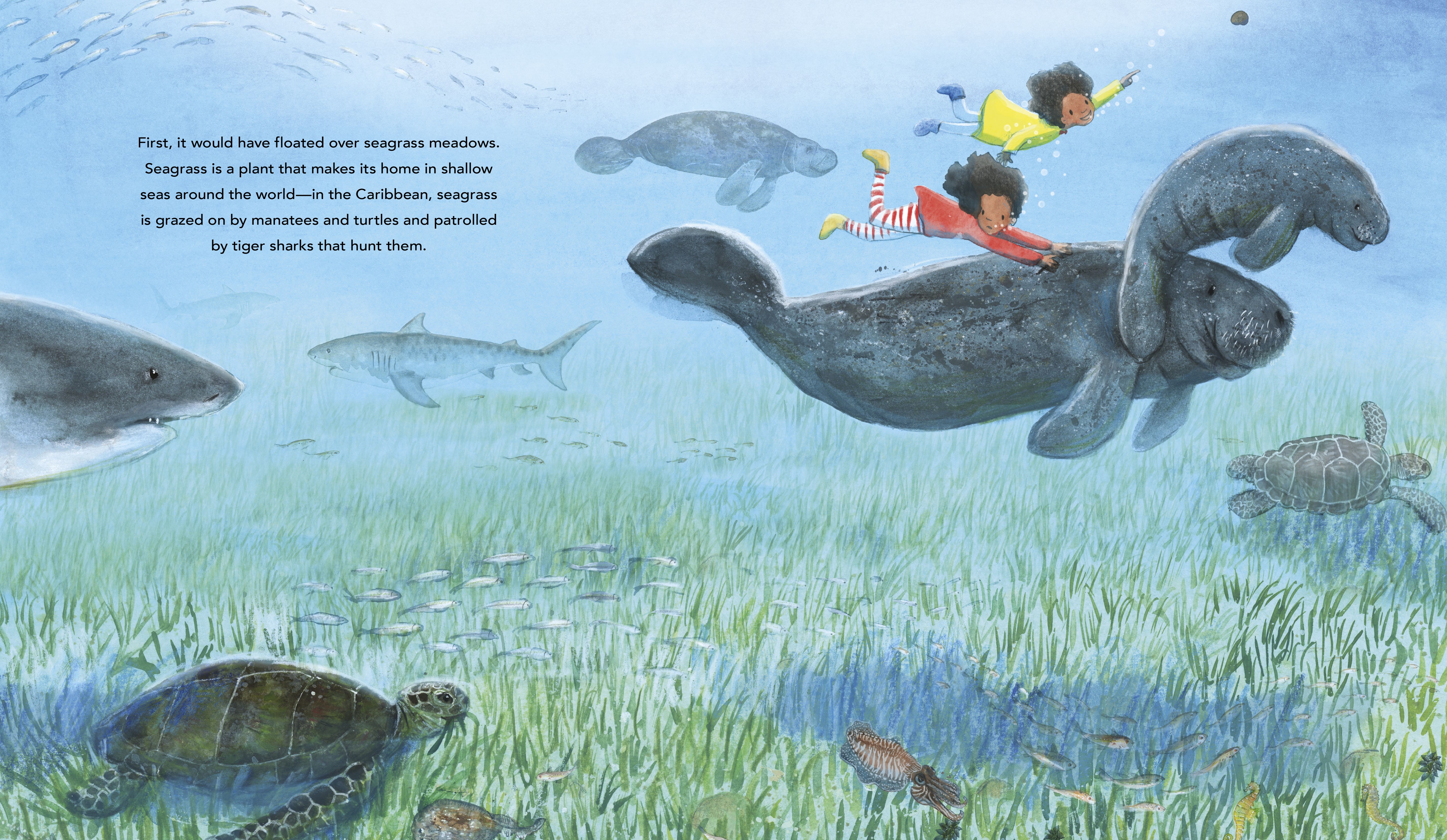 additional book photo