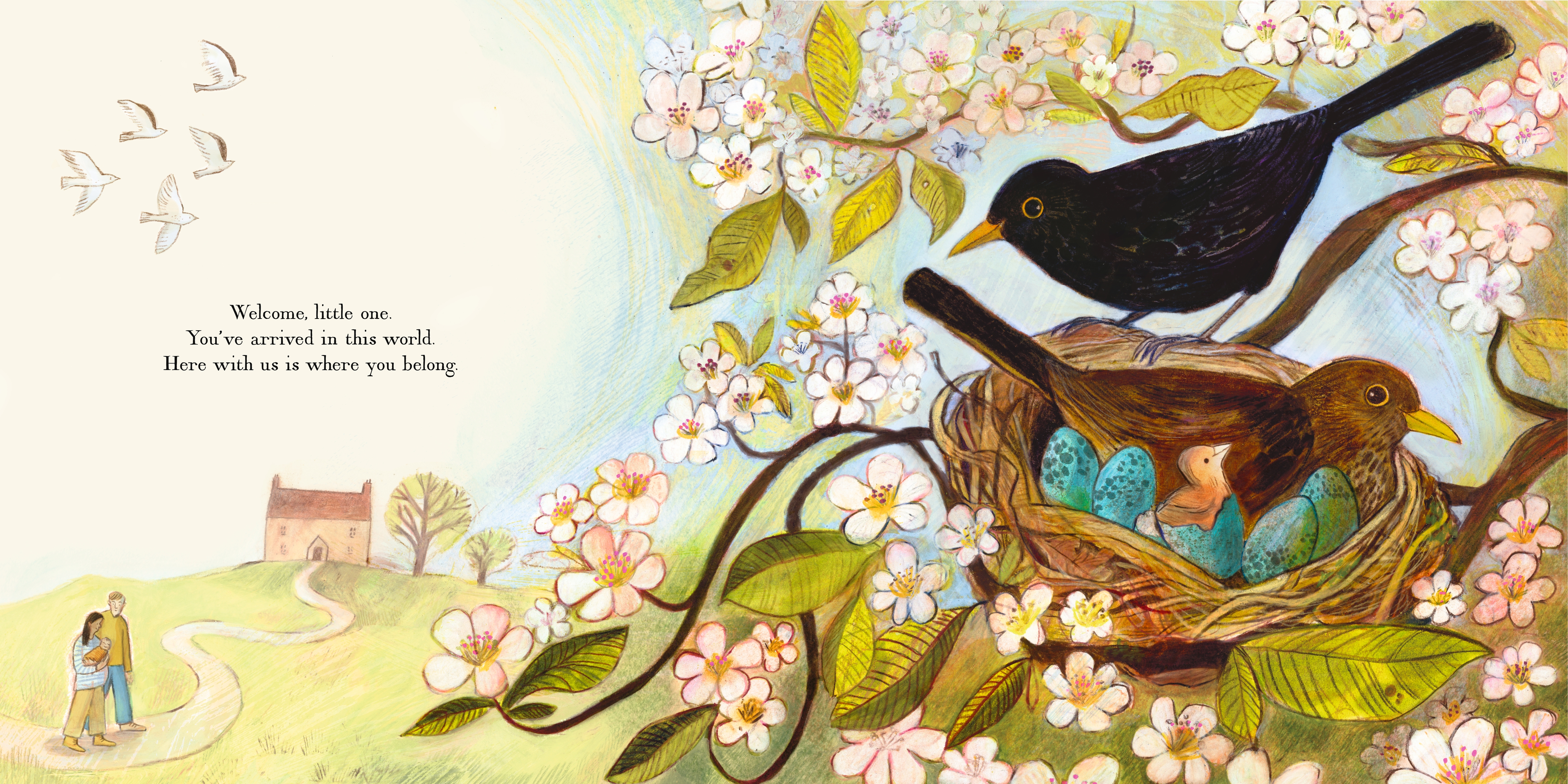 additional book photo