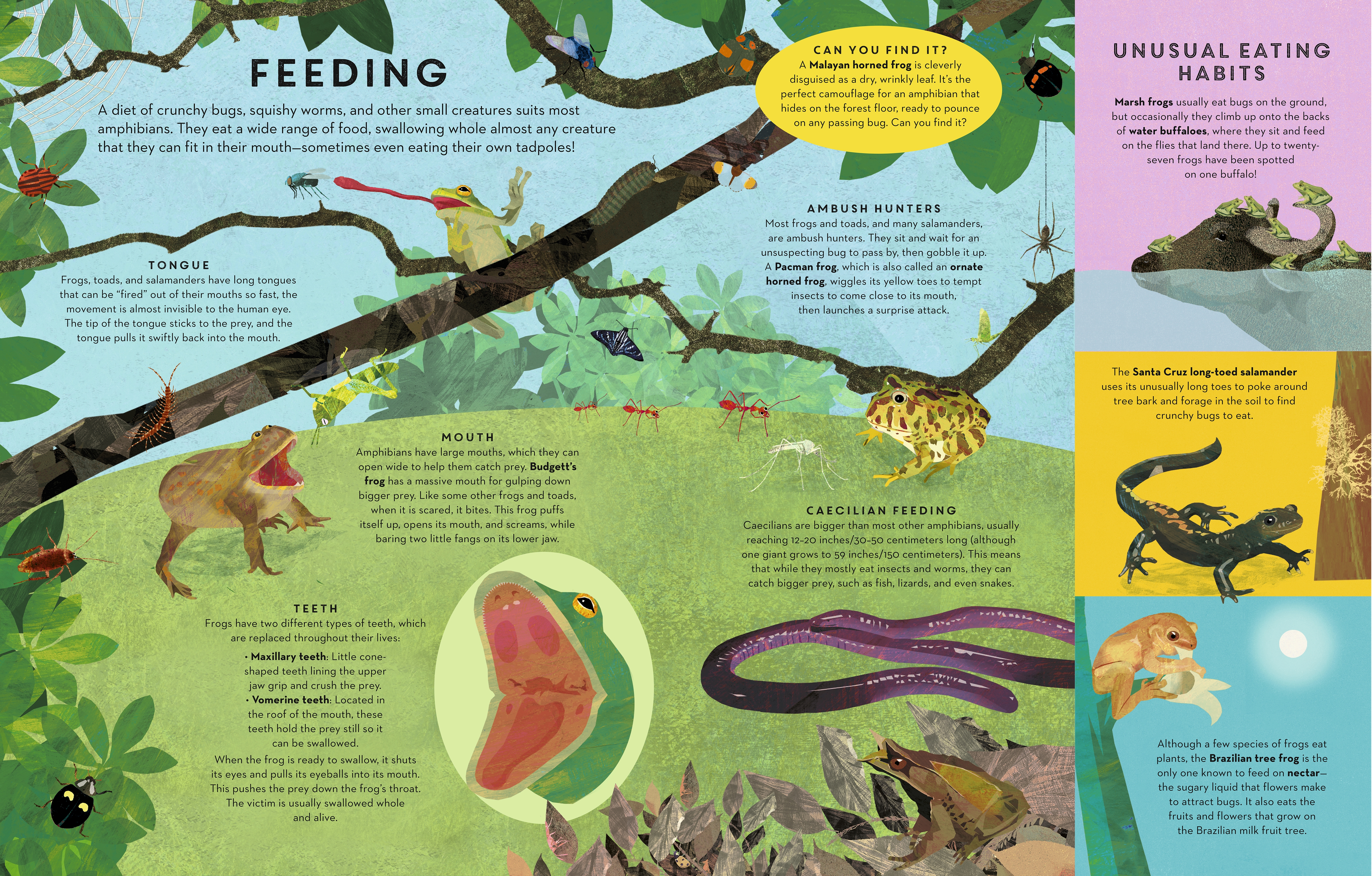 additional book photo