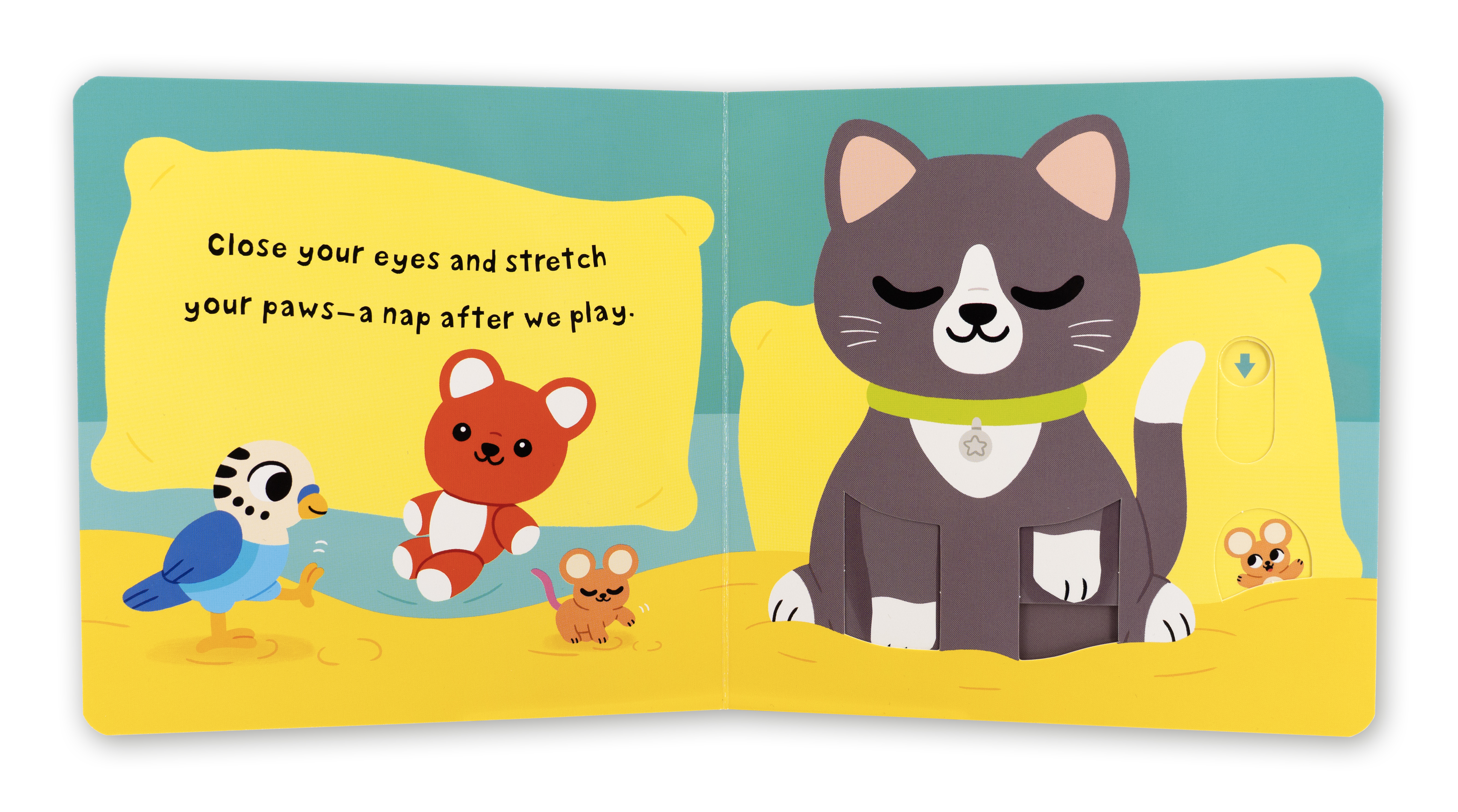 additional book photo
