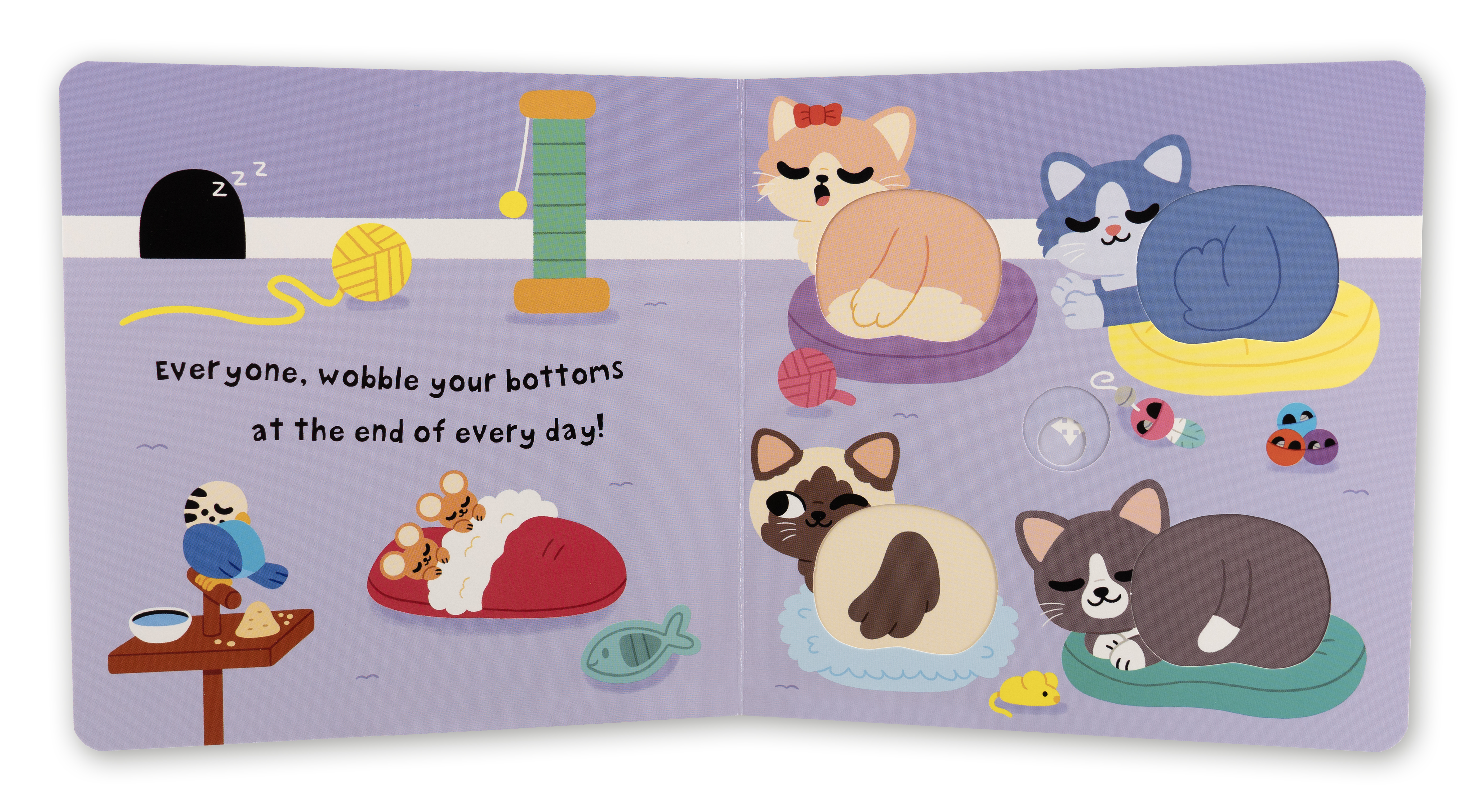 additional book photo
