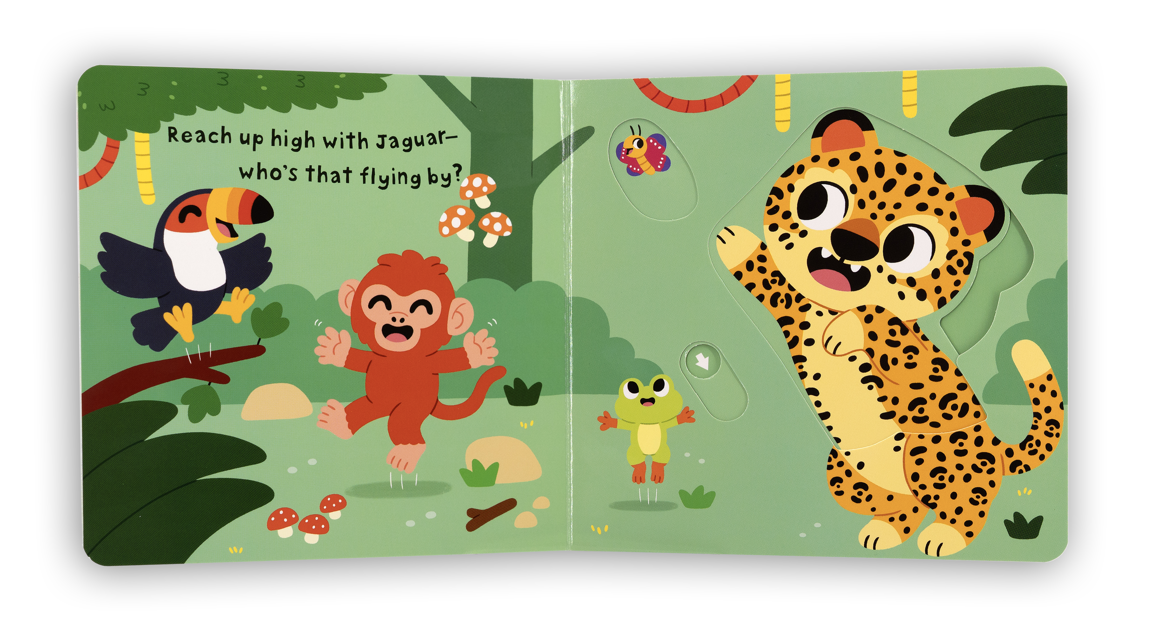 additional book photo