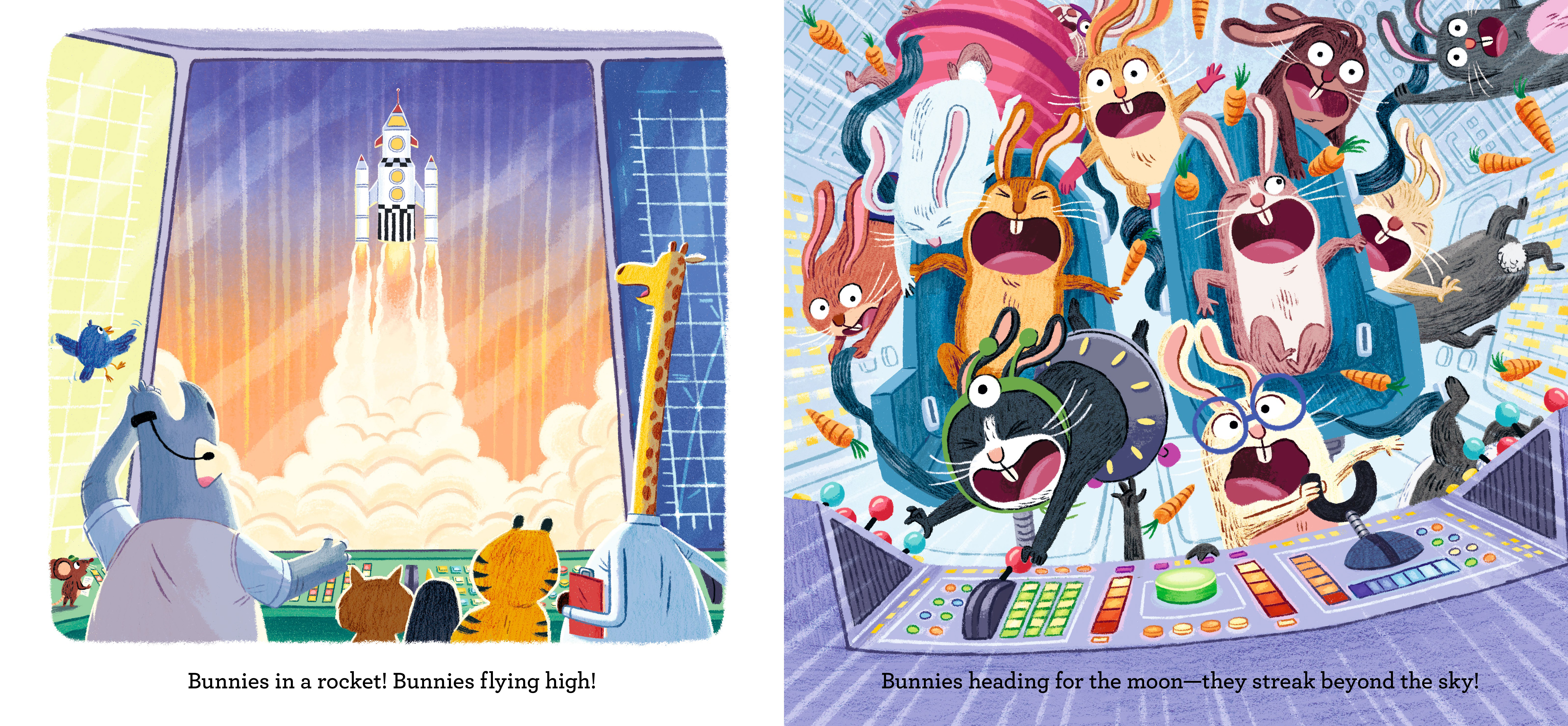 additional book photo