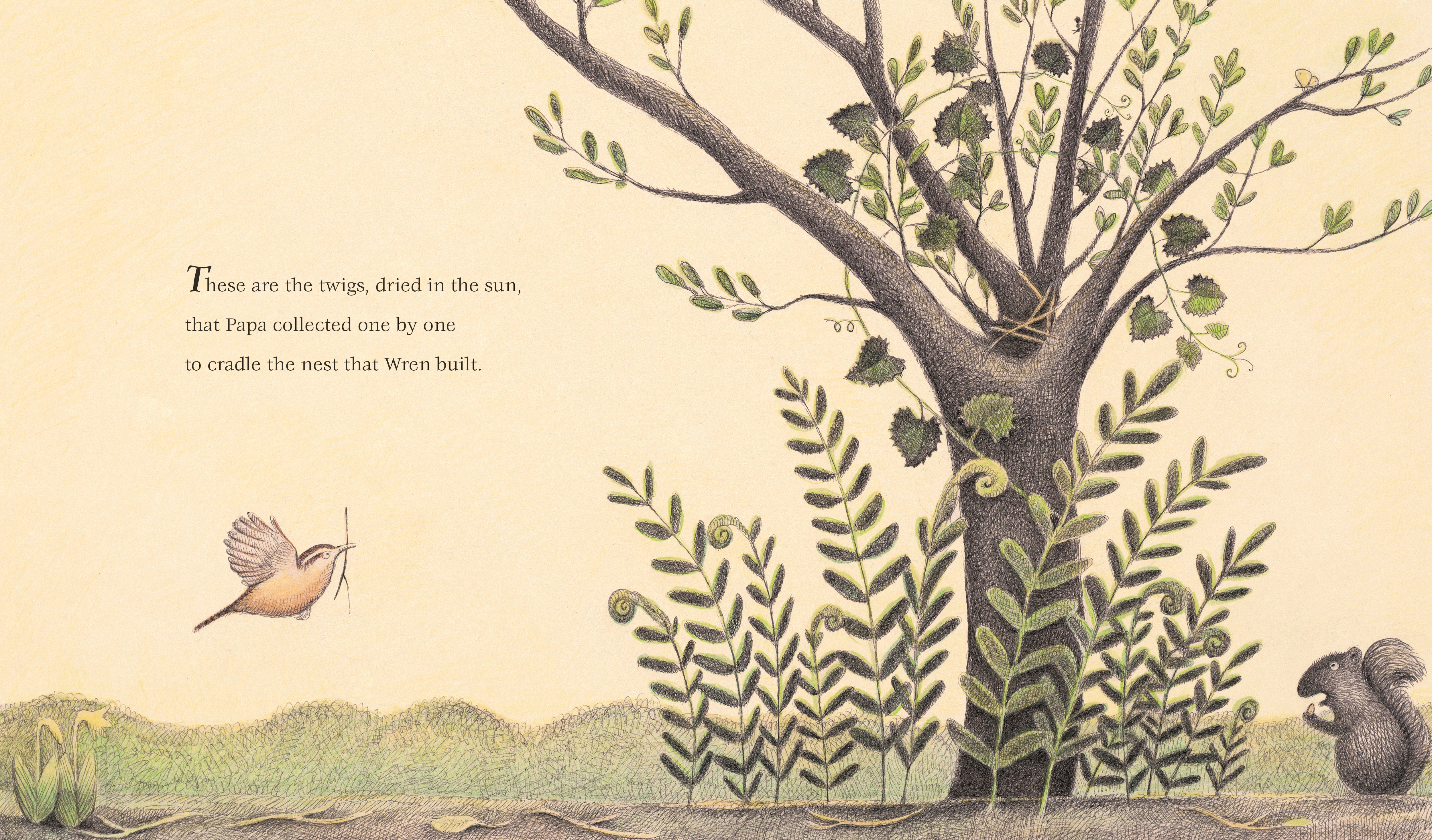 additional book photo