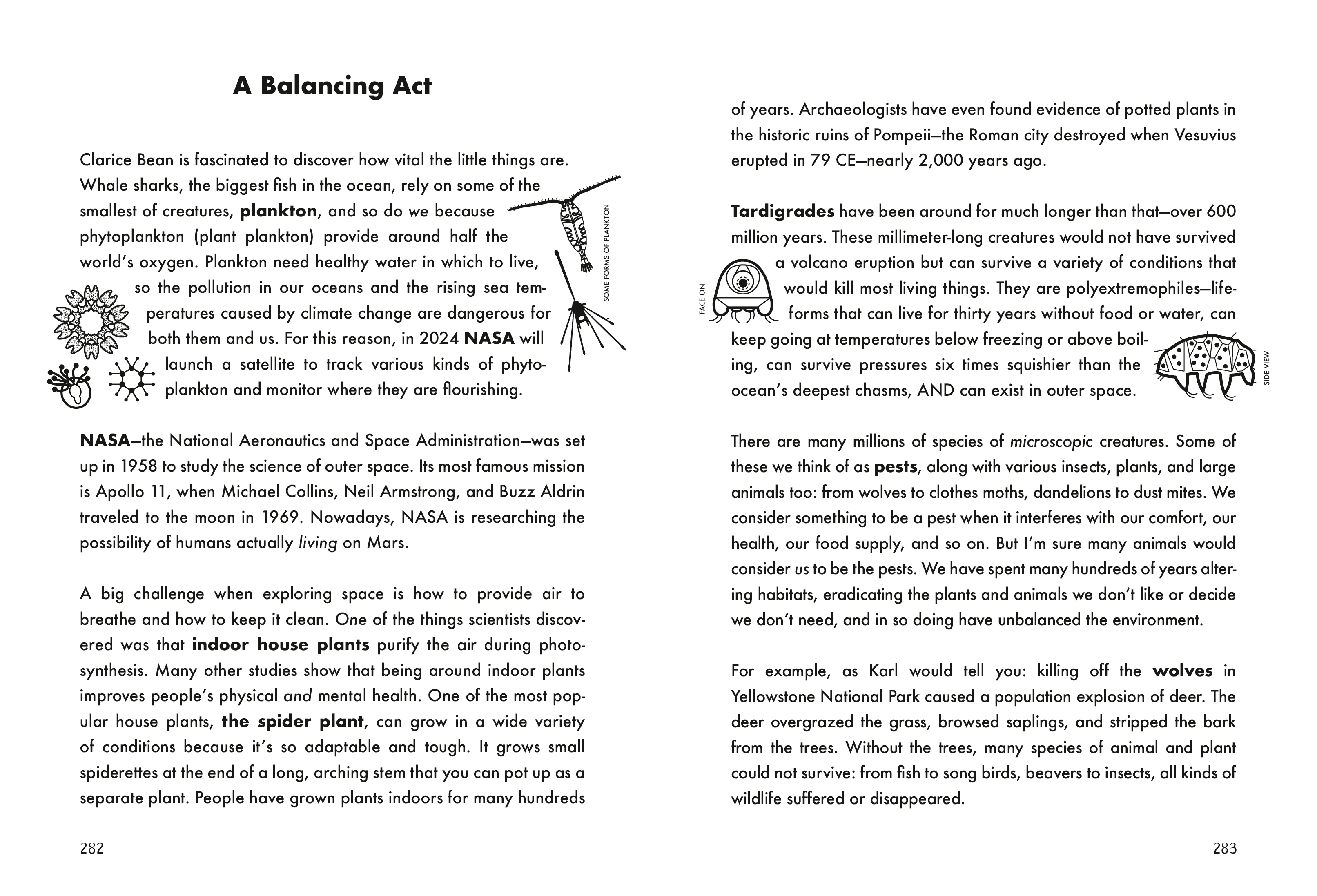 additional book photo