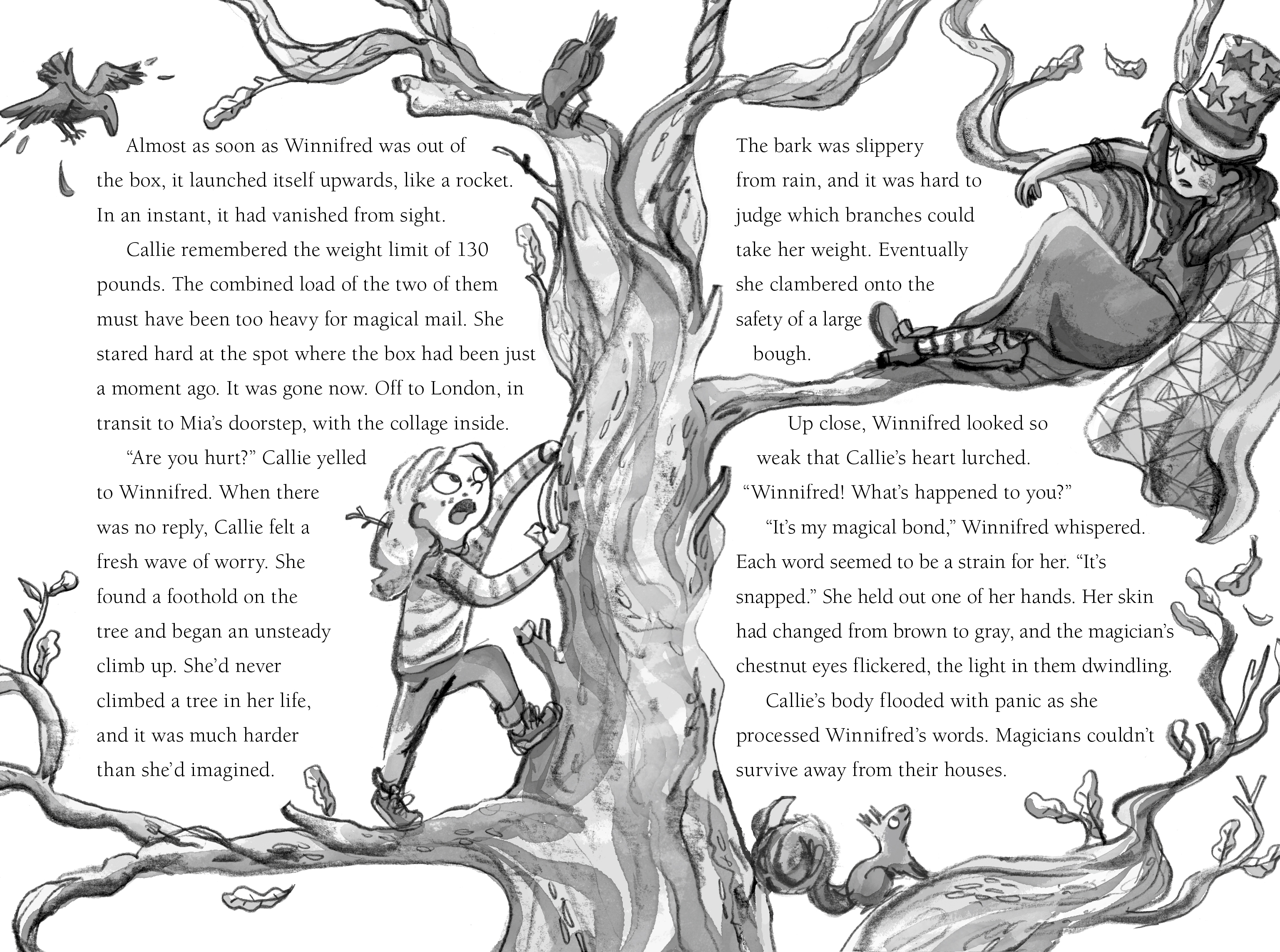 additional book photo