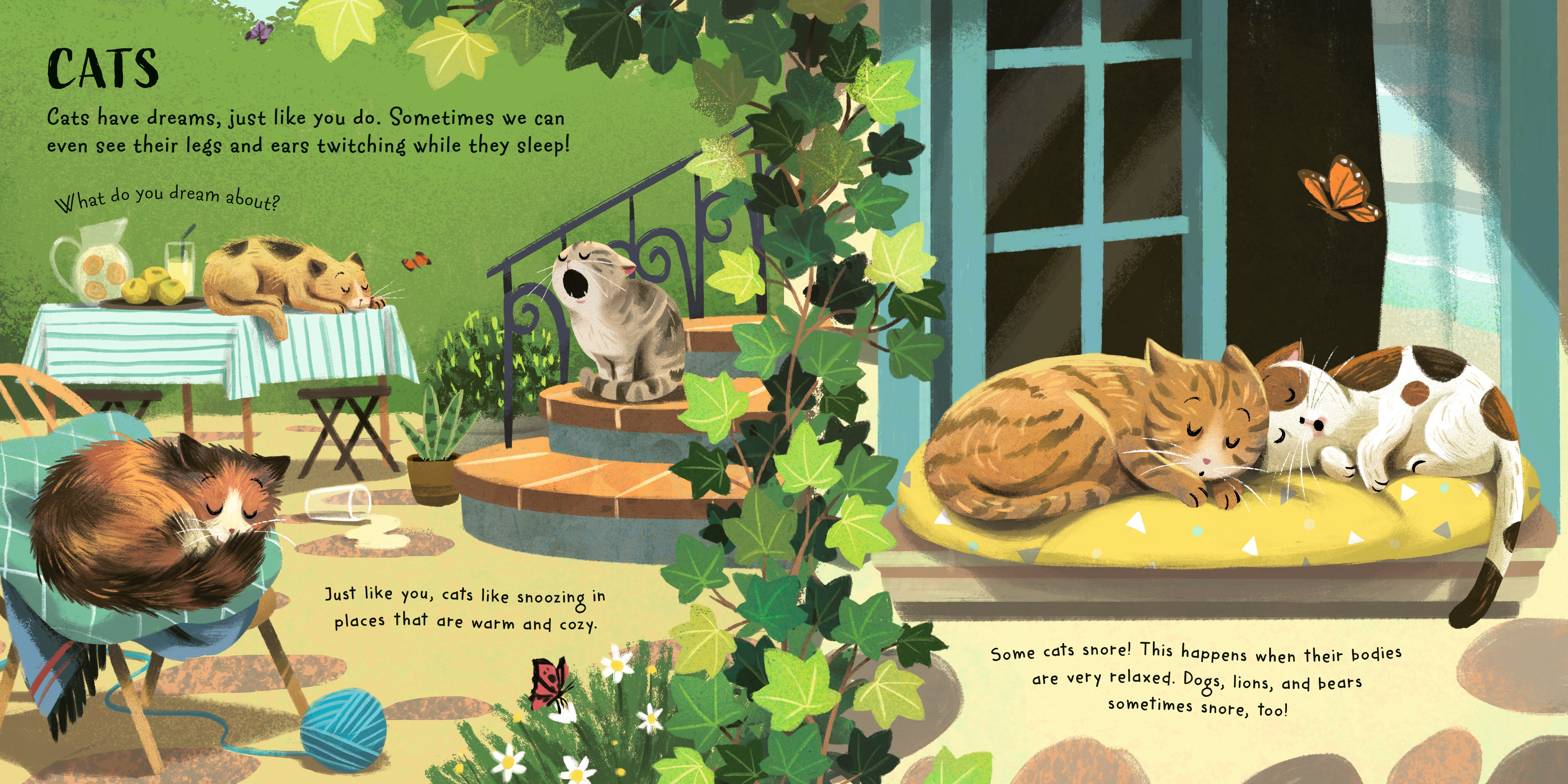 additional book photo