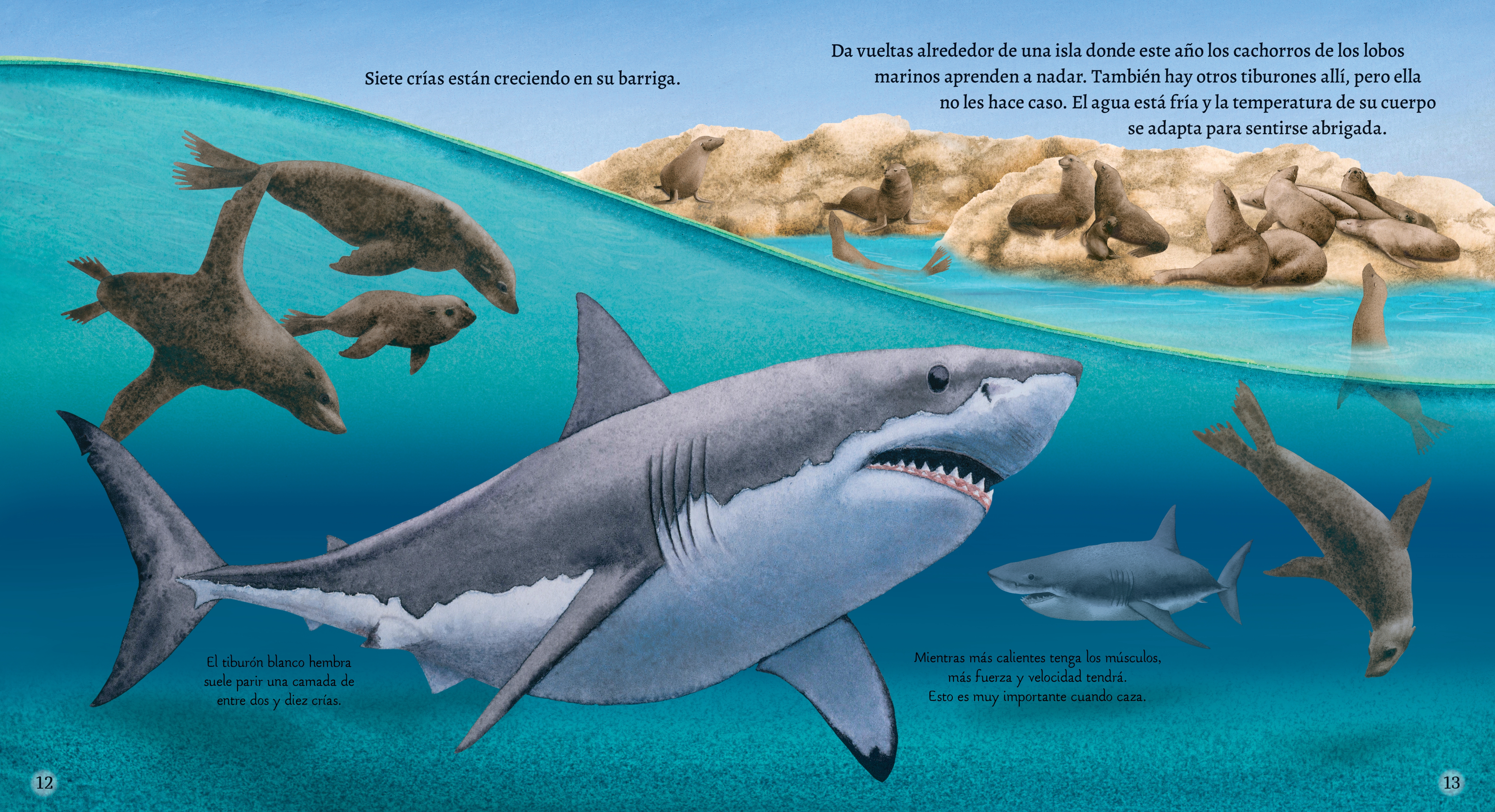additional book photo