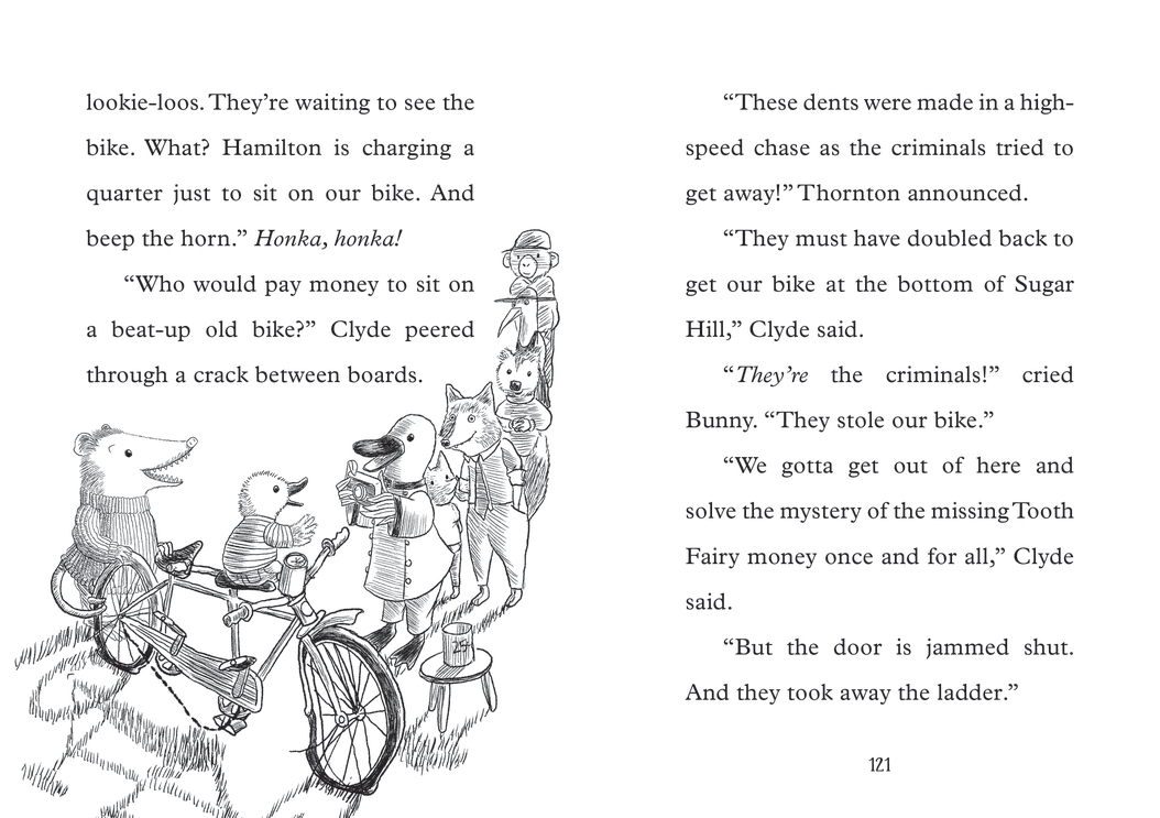 additional book photo