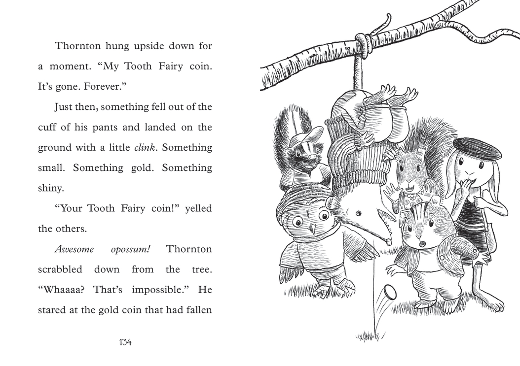 additional book photo