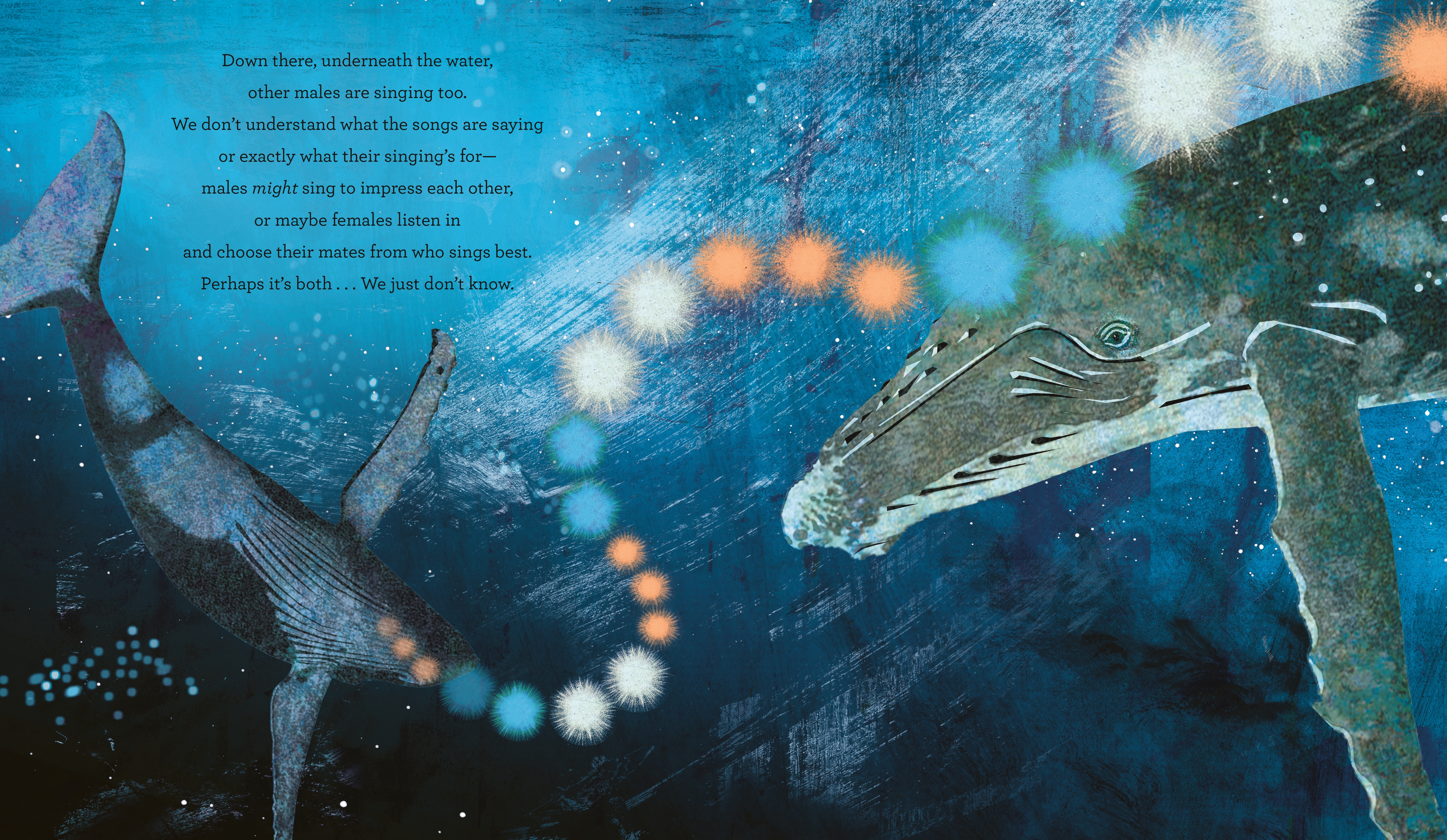 additional book photo