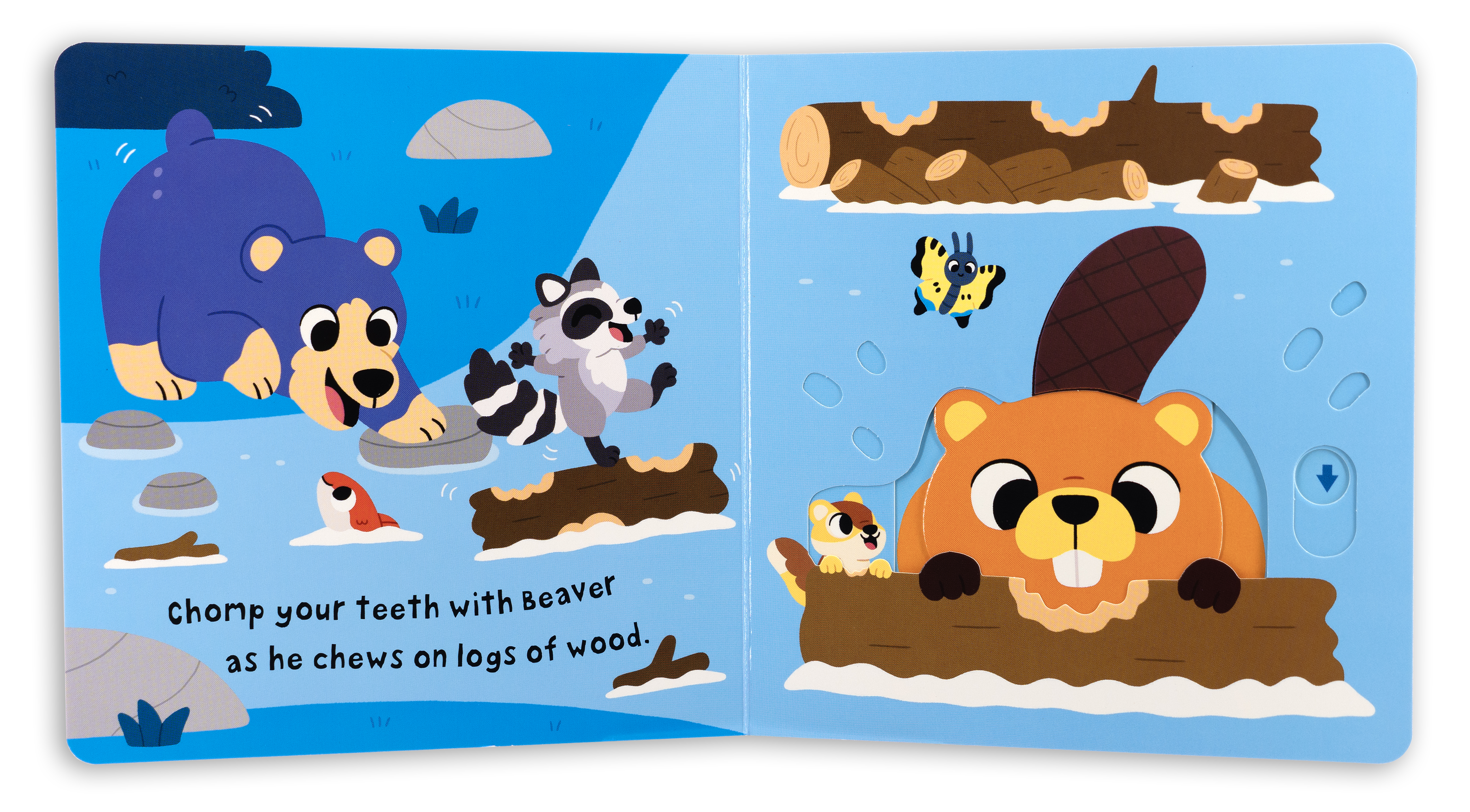 additional book photo